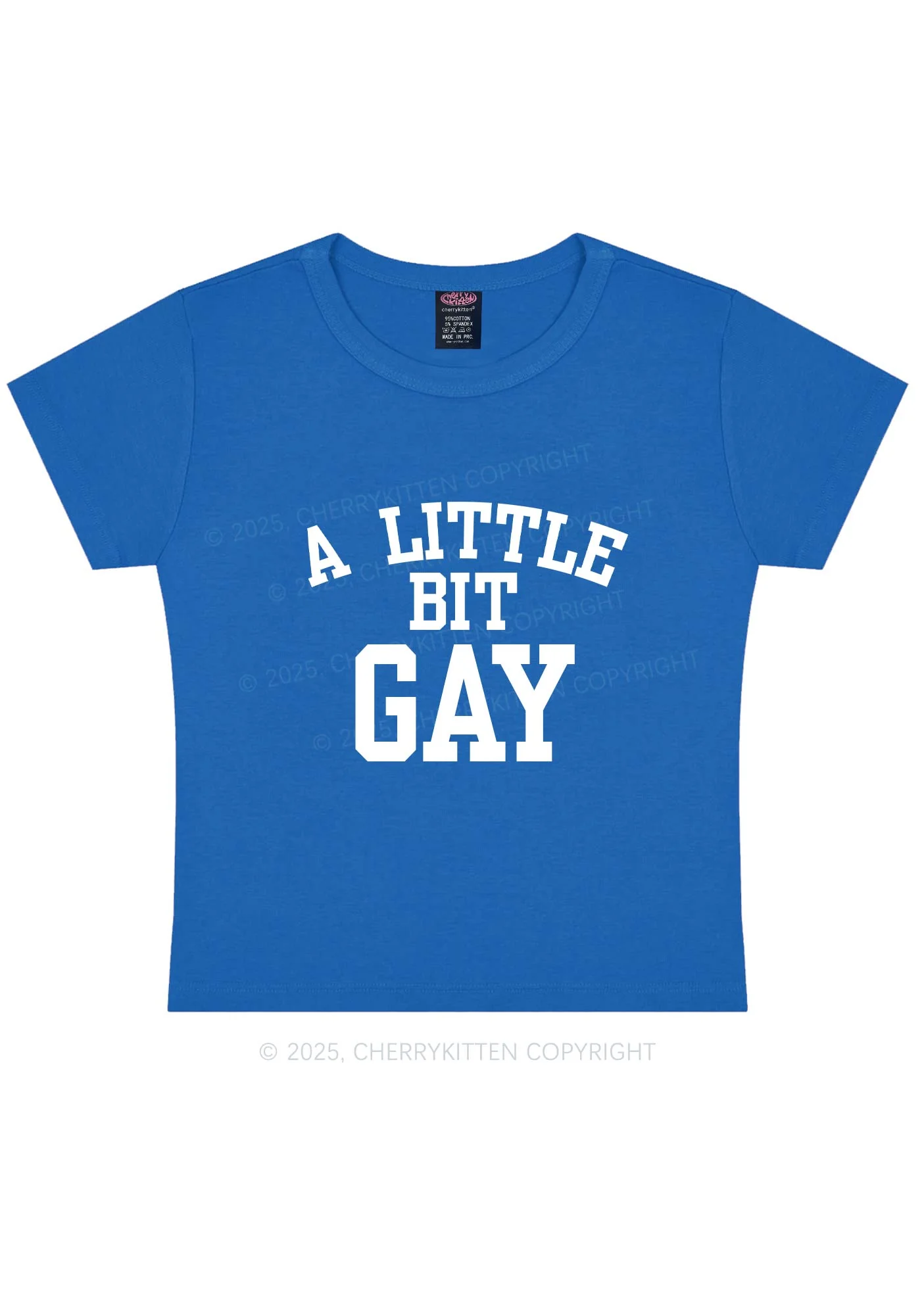 A Little Bit Gay Y2K Baby Tee Cherrykitten - Image 10