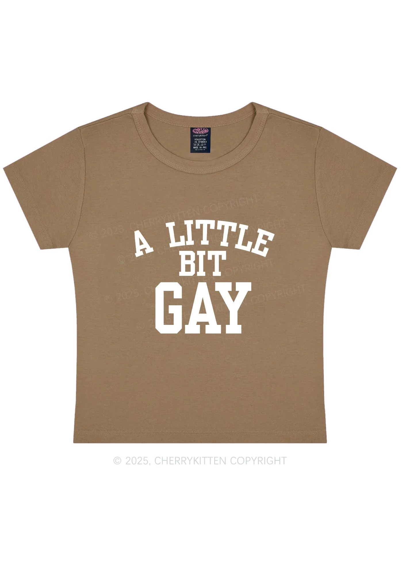 A Little Bit Gay Y2K Baby Tee Cherrykitten - Image 11