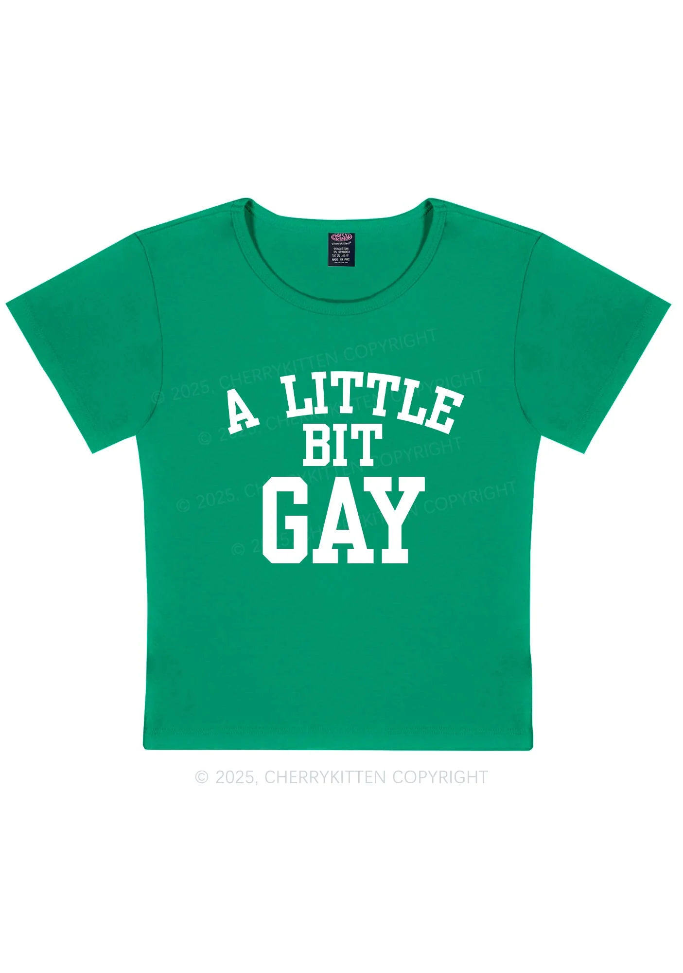 A Little Bit Gay Y2K Baby Tee Cherrykitten - Image 12