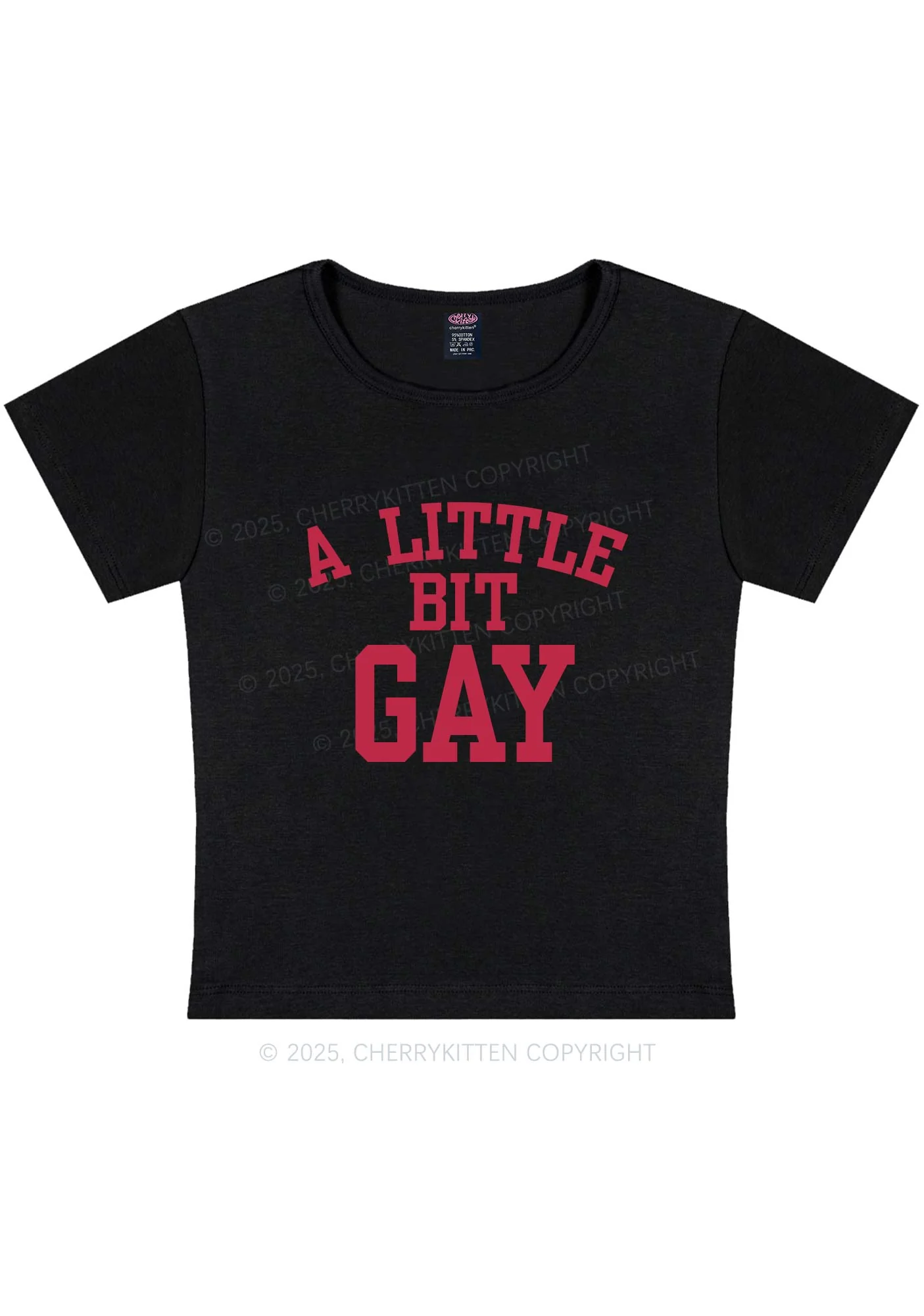 A Little Bit Gay Y2K Baby Tee Cherrykitten - Image 4