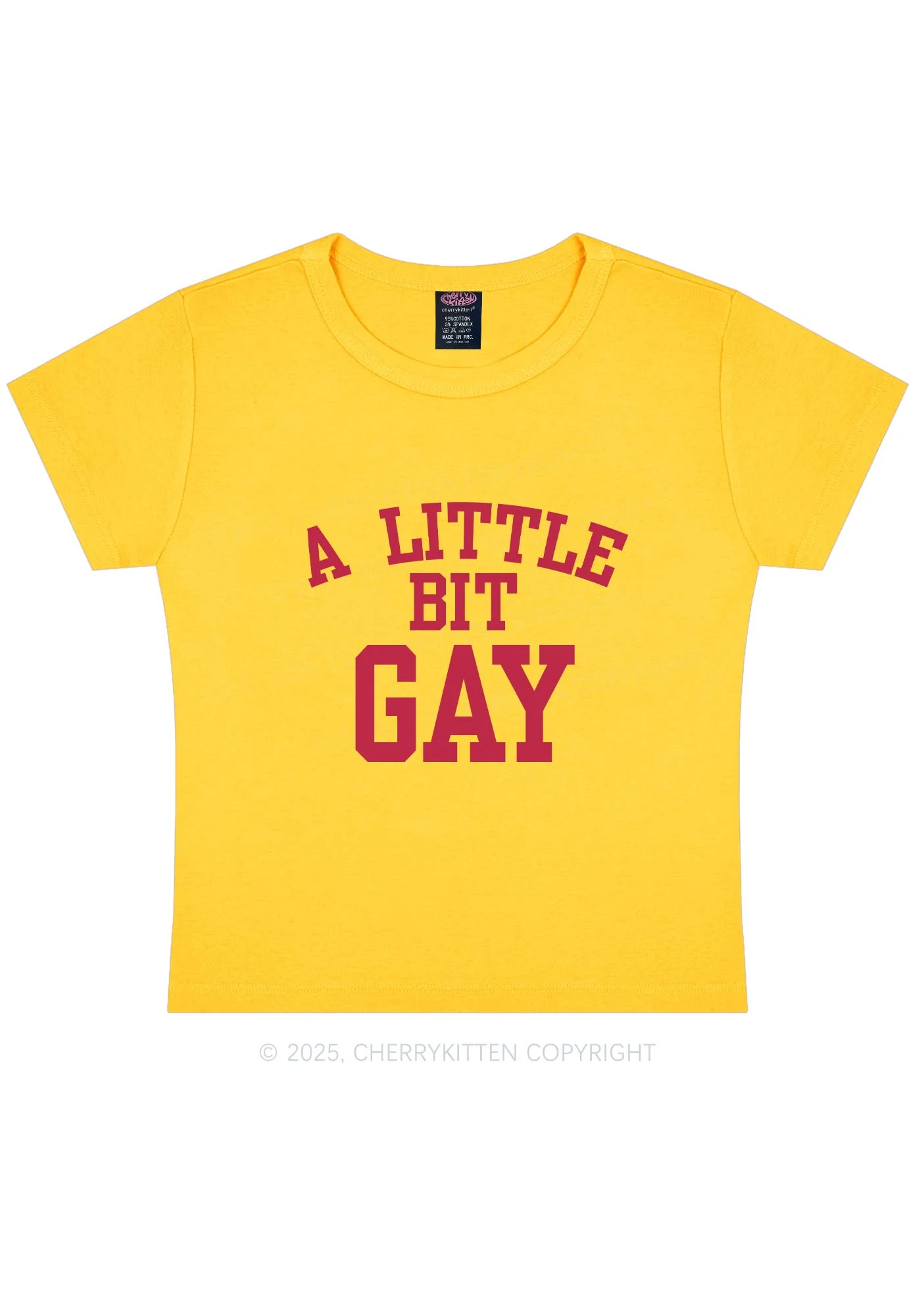A Little Bit Gay Y2K Baby Tee Cherrykitten - Image 5
