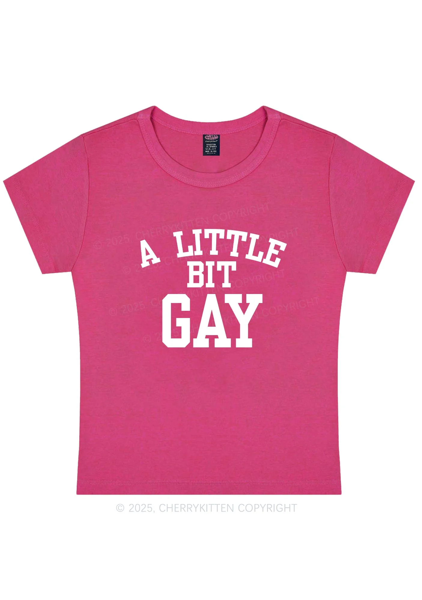 A Little Bit Gay Y2K Baby Tee Cherrykitten - Image 7