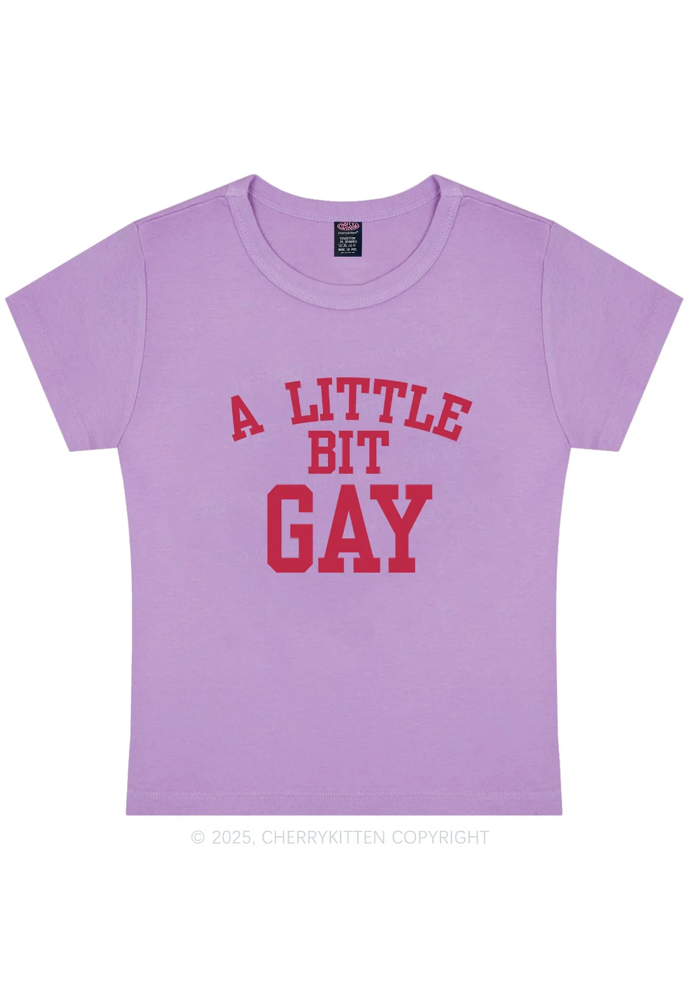 A Little Bit Gay Y2K Baby Tee Cherrykitten - Image 8