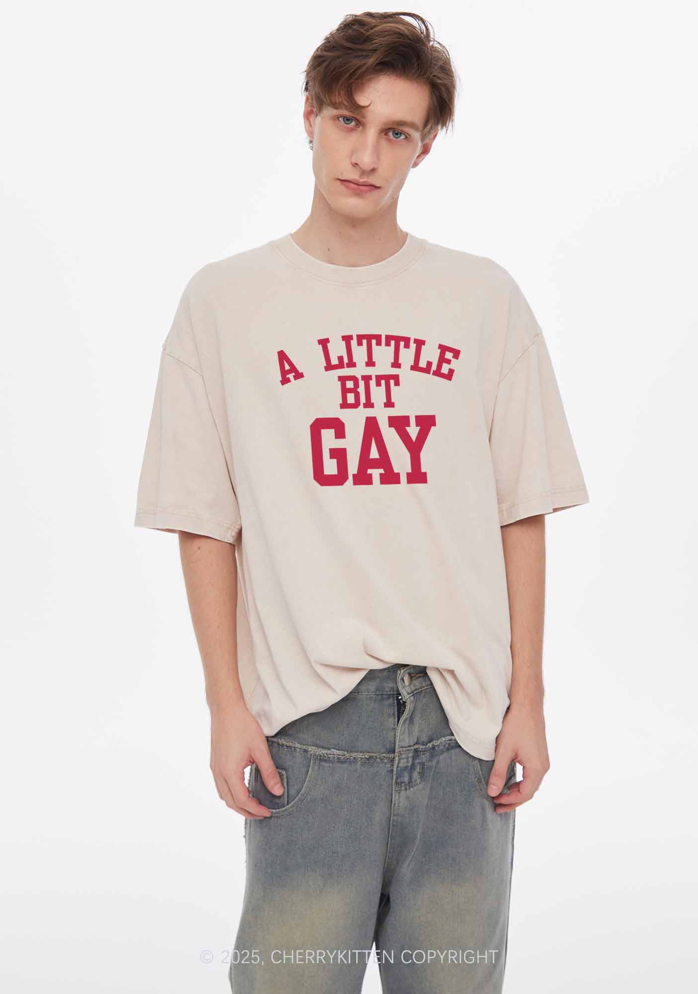 A Little Bit Gay Y2K Washed Tee Cherrykitten - Image 2