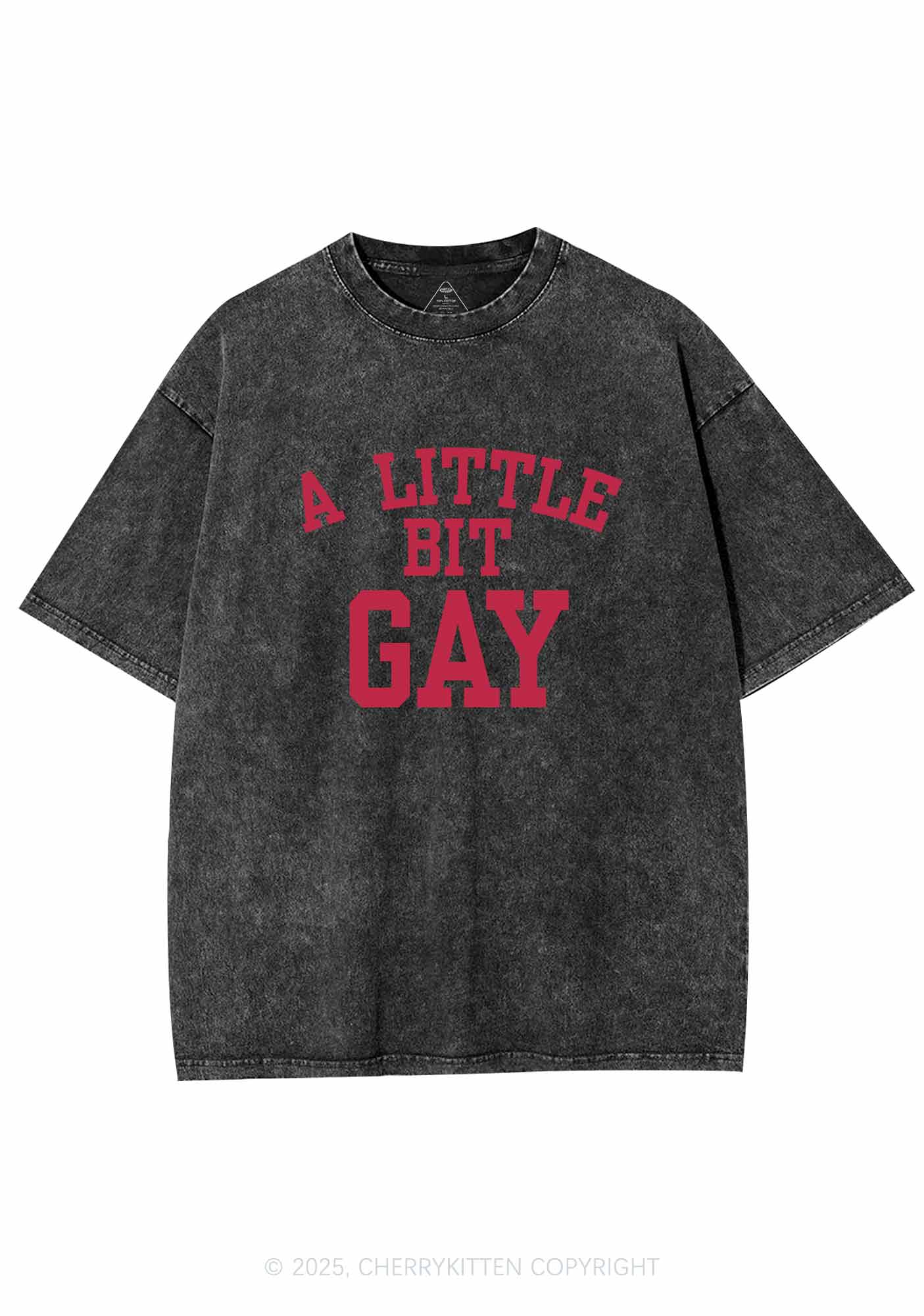 A Little Bit Gay Y2K Washed Tee Cherrykitten - Image 3