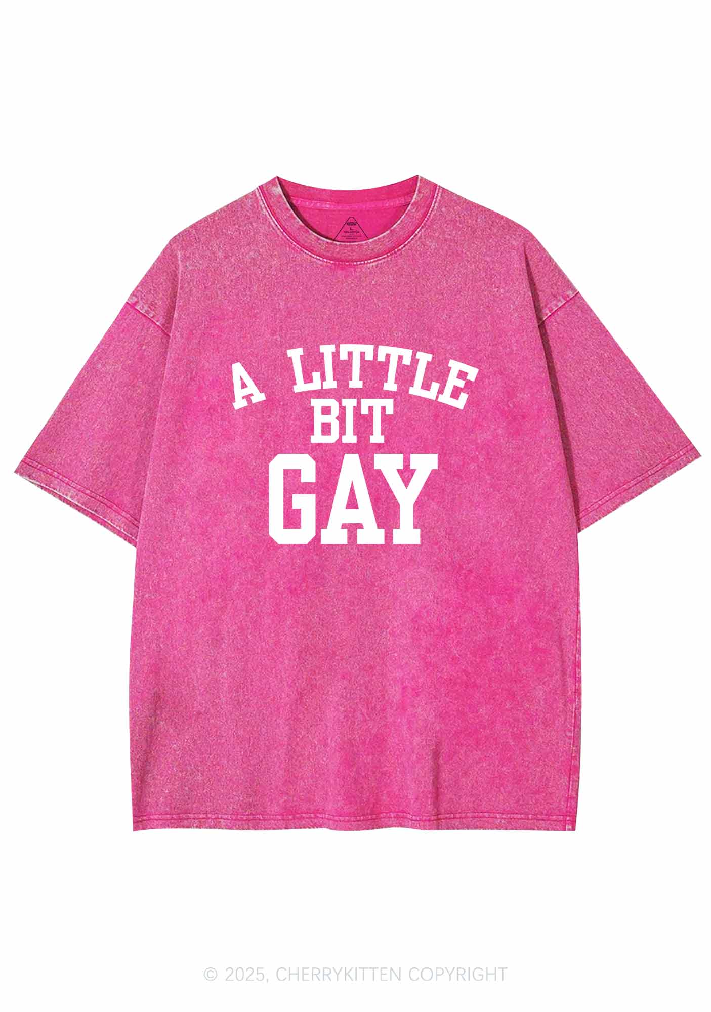 A Little Bit Gay Y2K Washed Tee Cherrykitten - Image 4