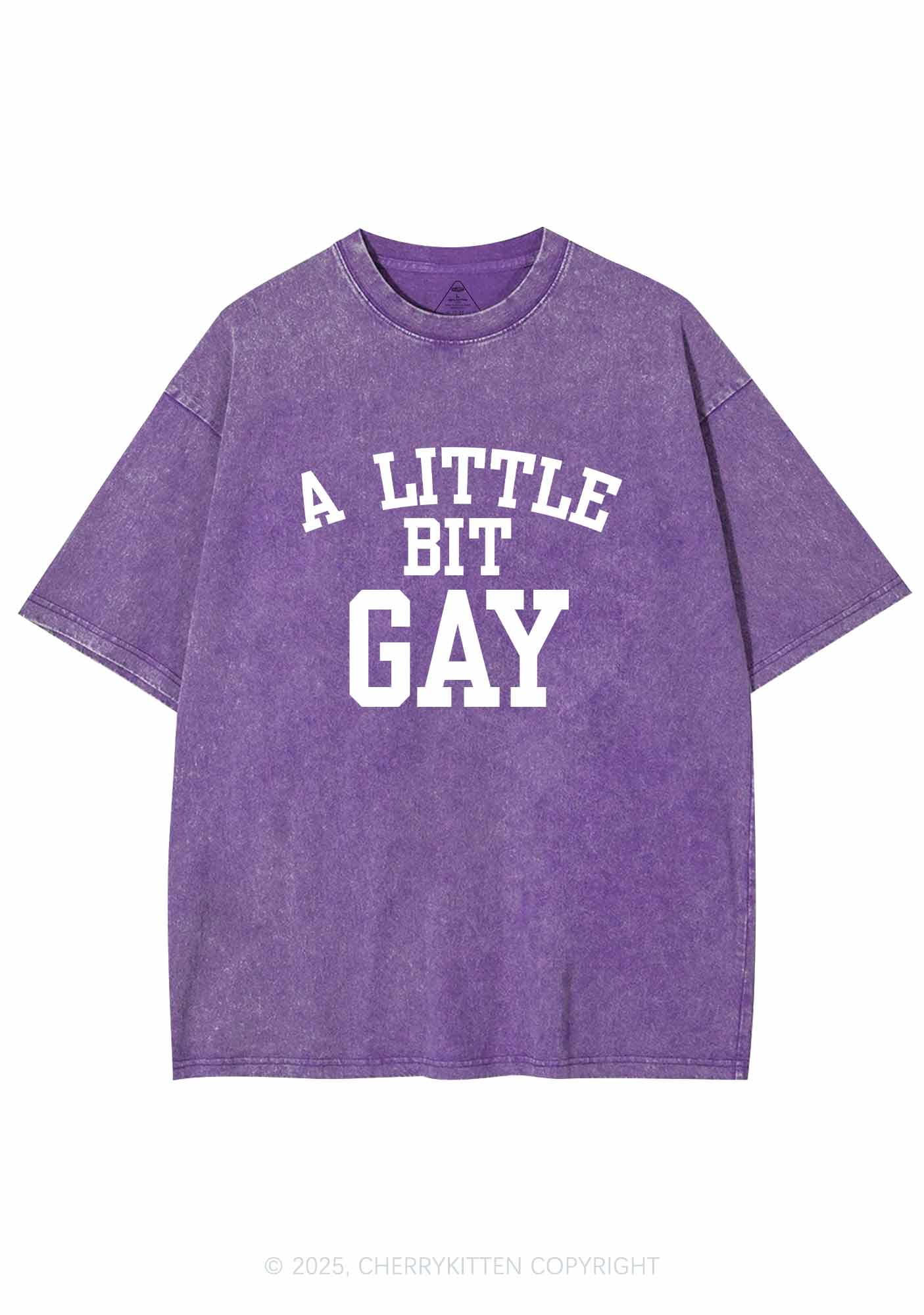 A Little Bit Gay Y2K Washed Tee Cherrykitten - Image 5
