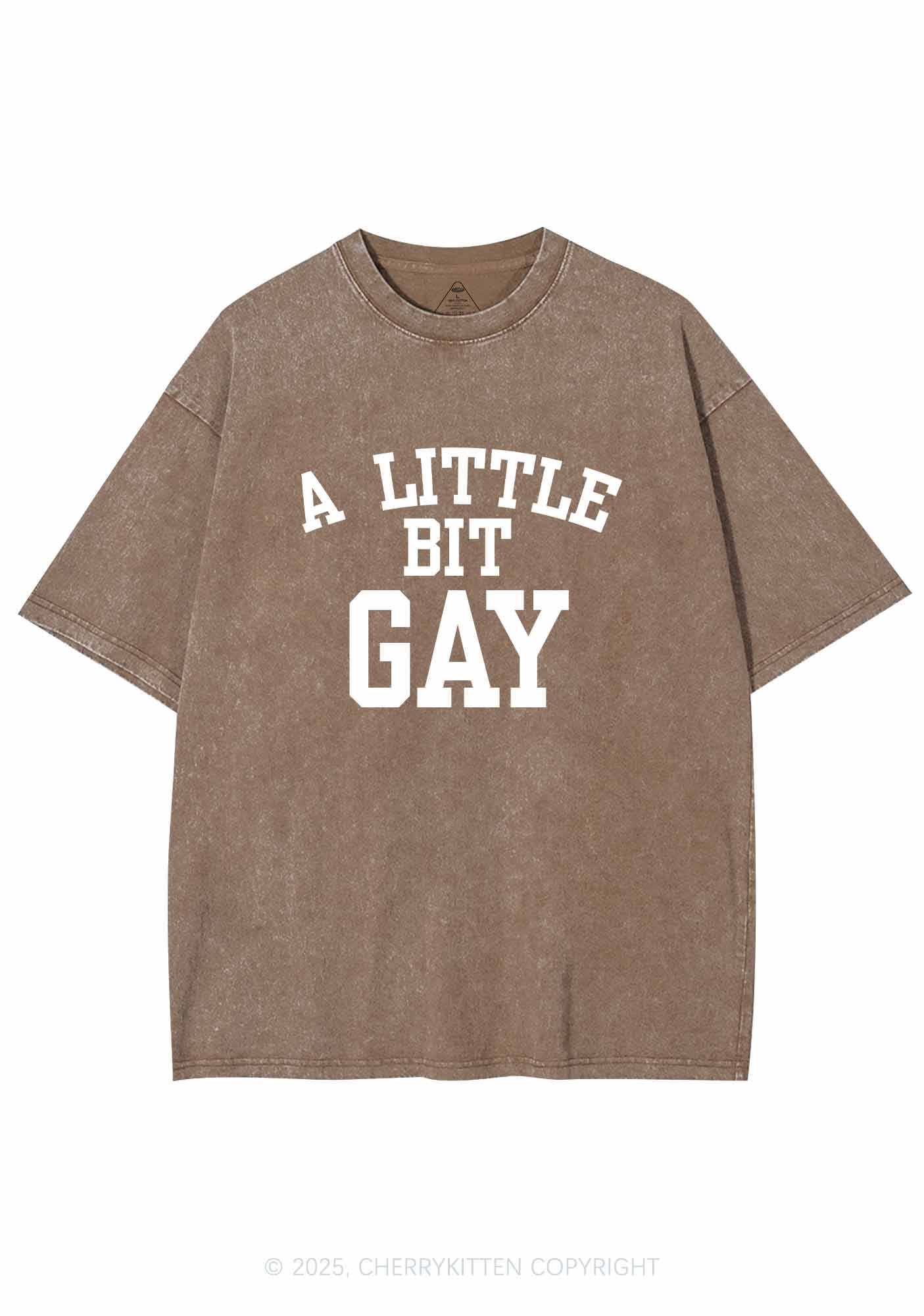 A Little Bit Gay Y2K Washed Tee Cherrykitten - Image 6
