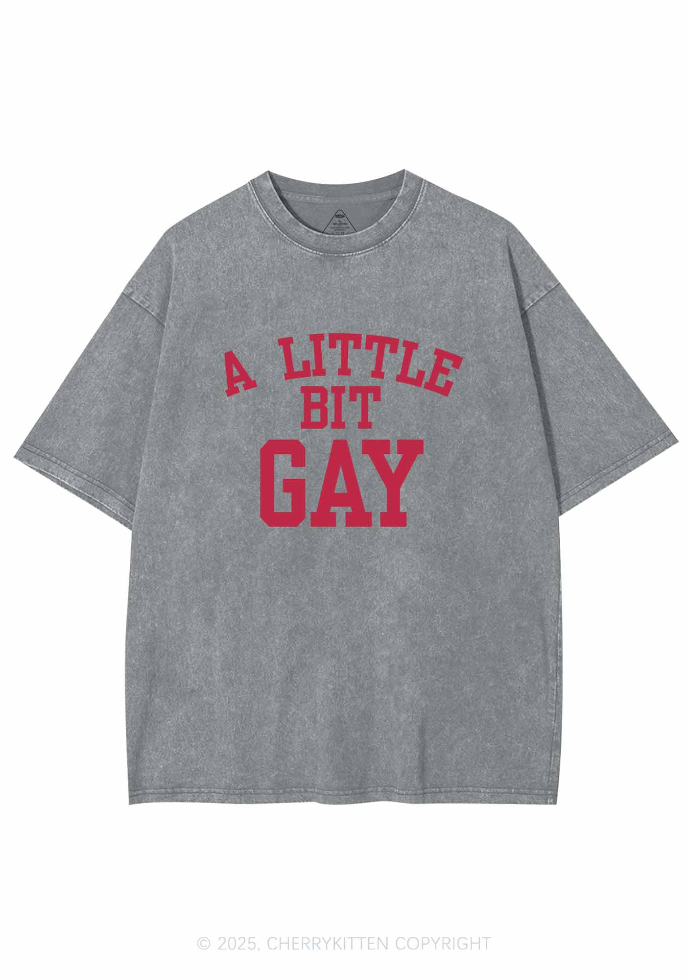 A Little Bit Gay Y2K Washed Tee Cherrykitten - Image 7