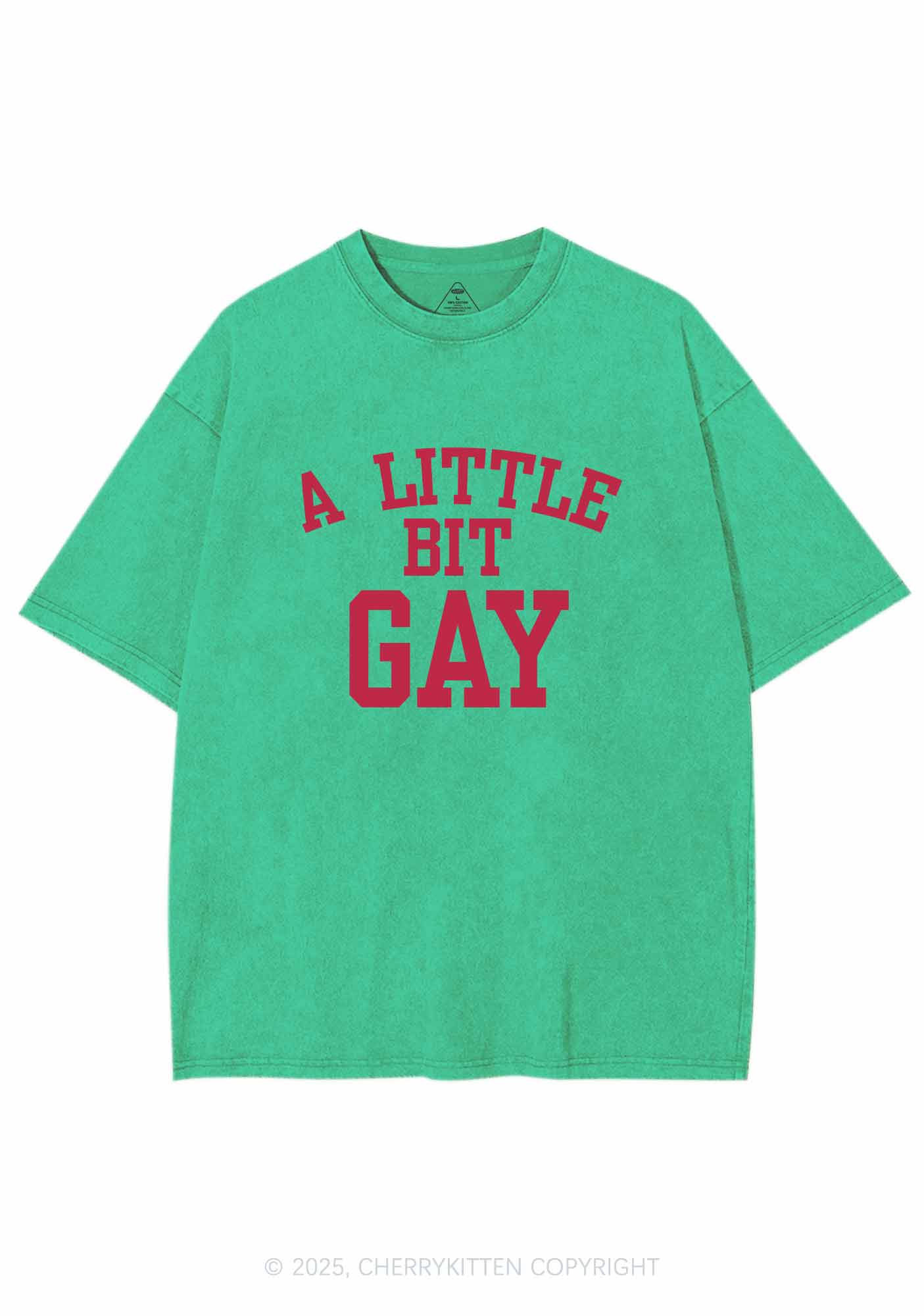 A Little Bit Gay Y2K Washed Tee Cherrykitten - Image 8