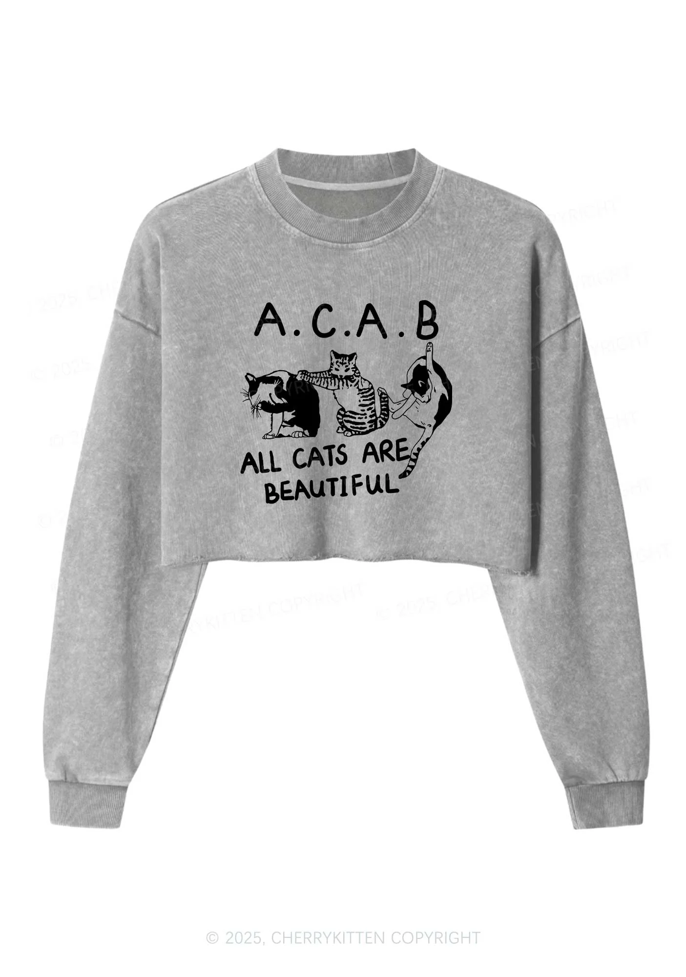 ACAB Cats Y2K Crop Washed Sweatshirts Cherrykitten - Image 4