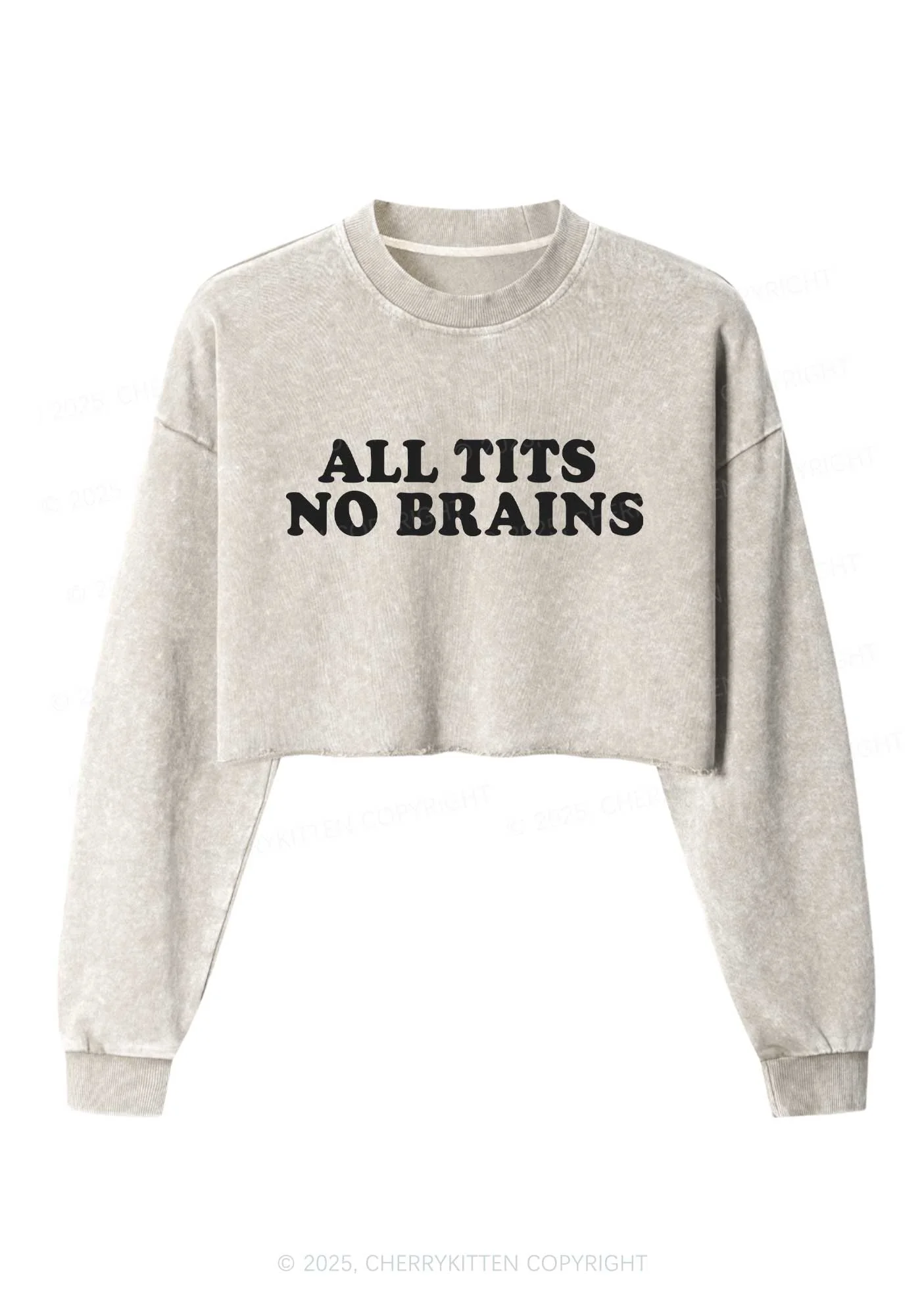 All Txts No Brains Y2K Crop Washed Sweatshirts Cherrykitten - Image 3