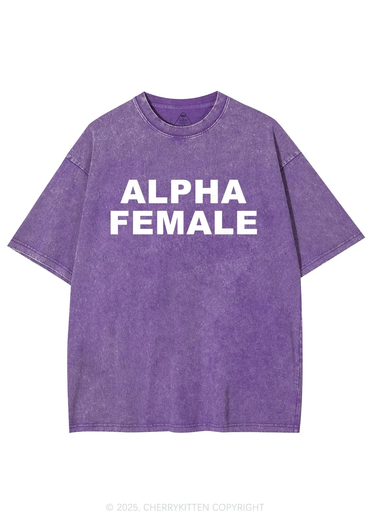 Alpha Female Y2K Washed Tee Cherrykitten - Image 4