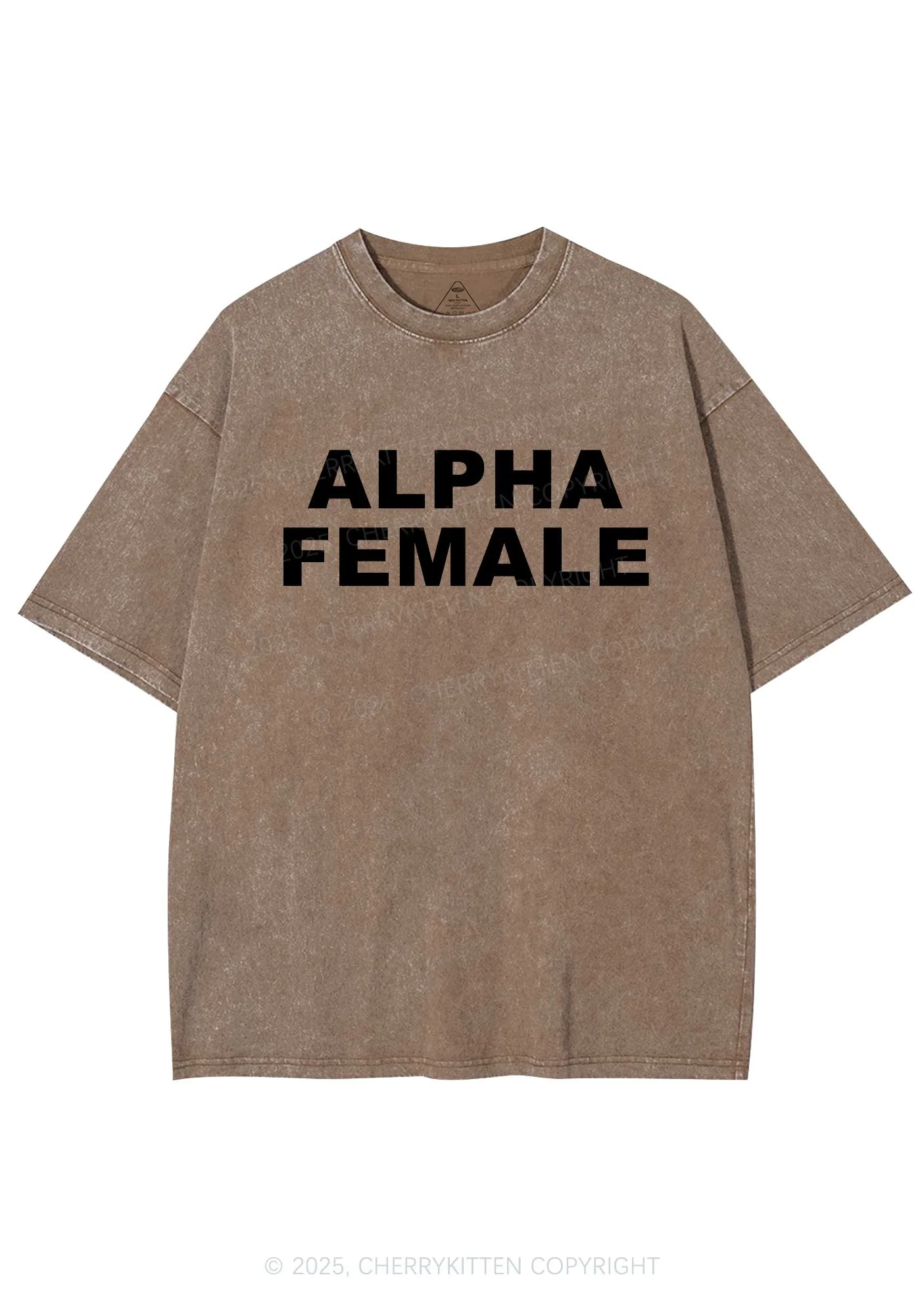 Alpha Female Y2K Washed Tee Cherrykitten - Image 7