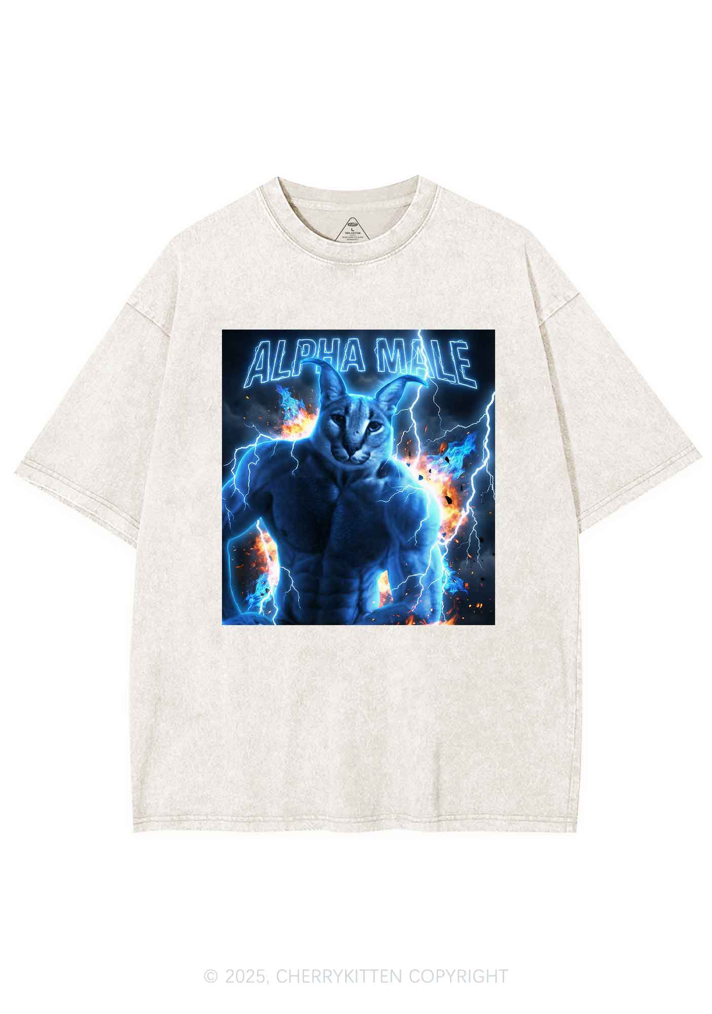 Alpha Male Floppa Y2K Shirts Washed Tee Cherrykitten - Image 3