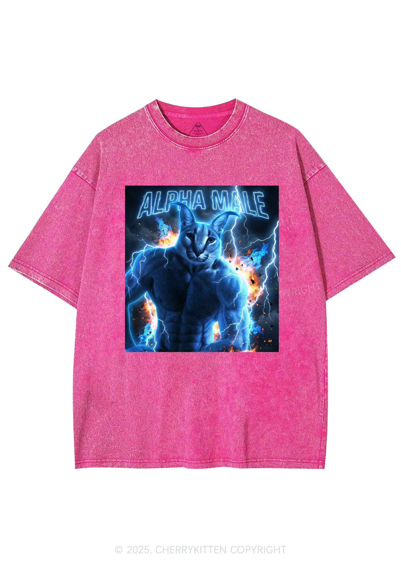 Alpha Male Floppa Y2K Shirts Washed Tee Cherrykitten - Image 4