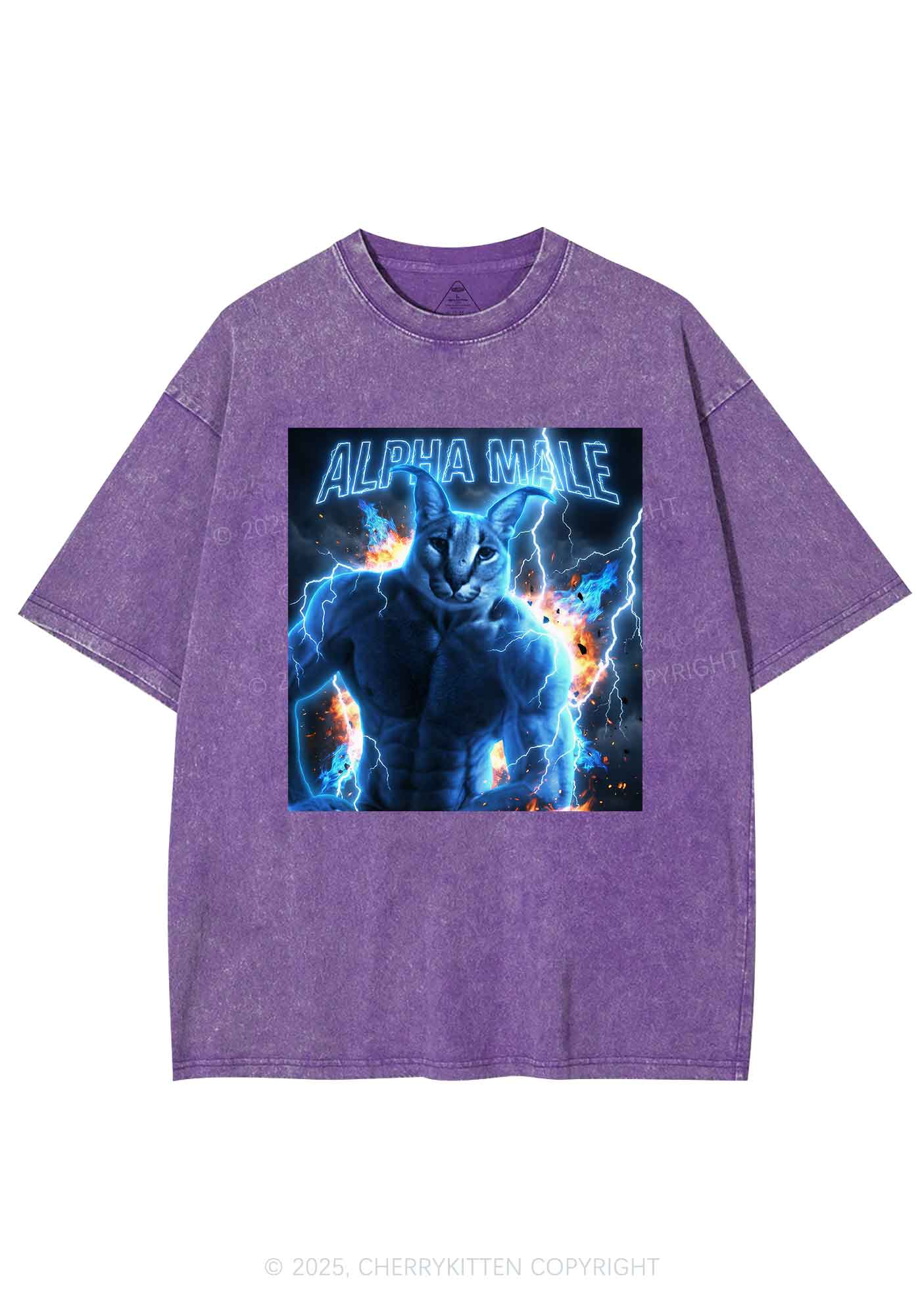 Alpha Male Floppa Y2K Shirts Washed Tee Cherrykitten - Image 5