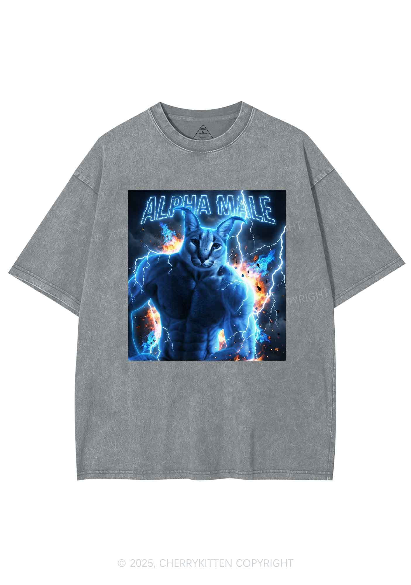 Alpha Male Floppa Y2K Shirts Washed Tee Cherrykitten - Image 6
