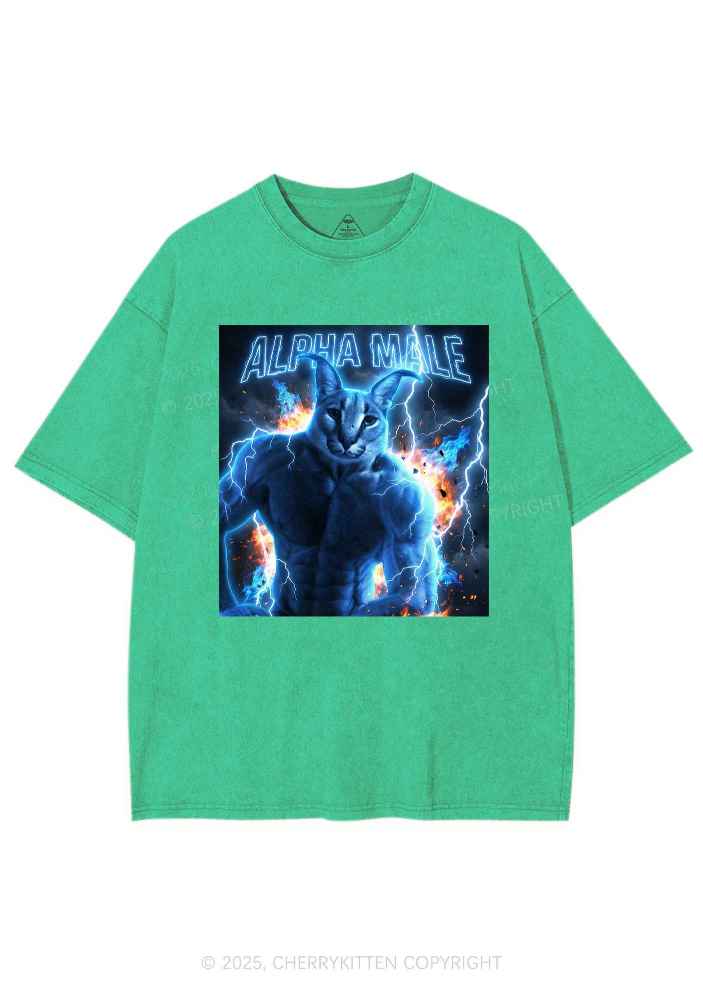 Alpha Male Floppa Y2K Shirts Washed Tee Cherrykitten - Image 7