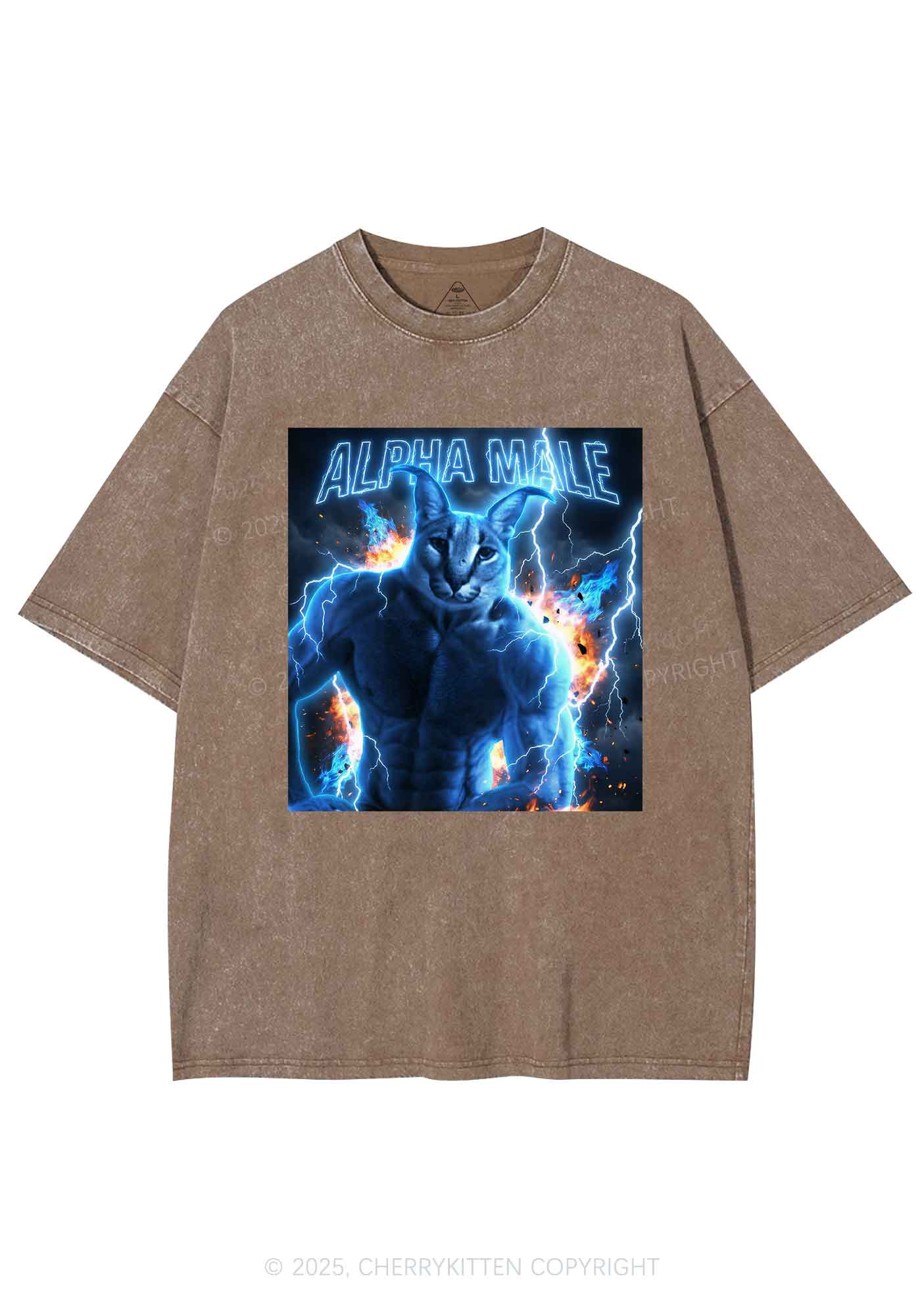 Alpha Male Floppa Y2K Shirts Washed Tee Cherrykitten - Image 8