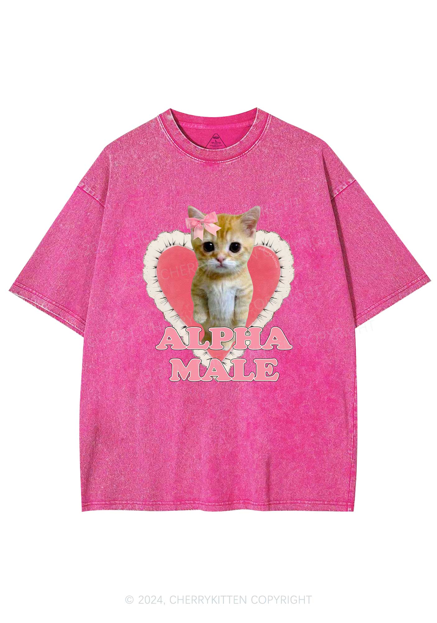 Alpha Male Kitten Y2K Washed Tee Cherrykitten - Image 3