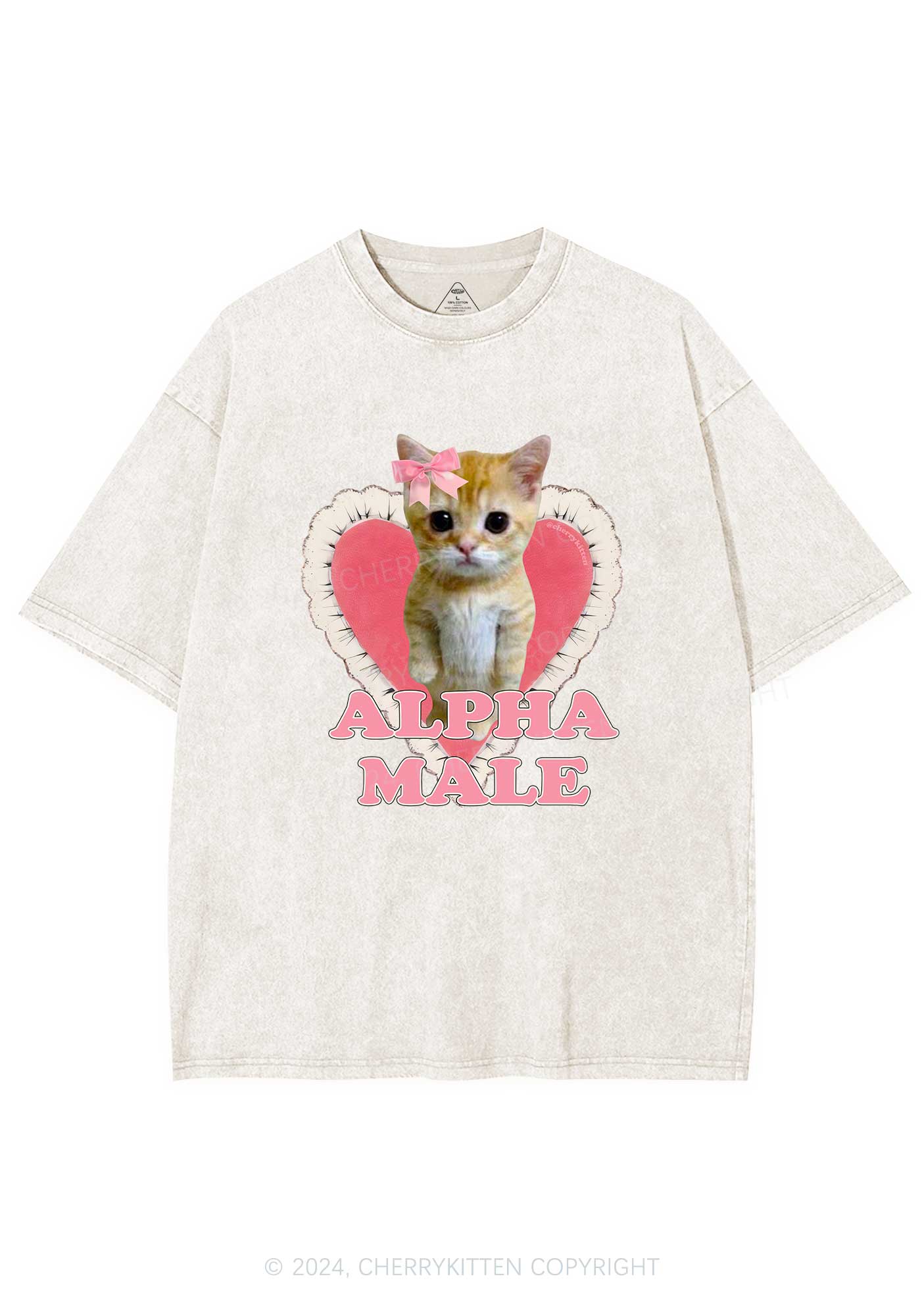 Alpha Male Kitten Y2K Washed Tee Cherrykitten - Image 4