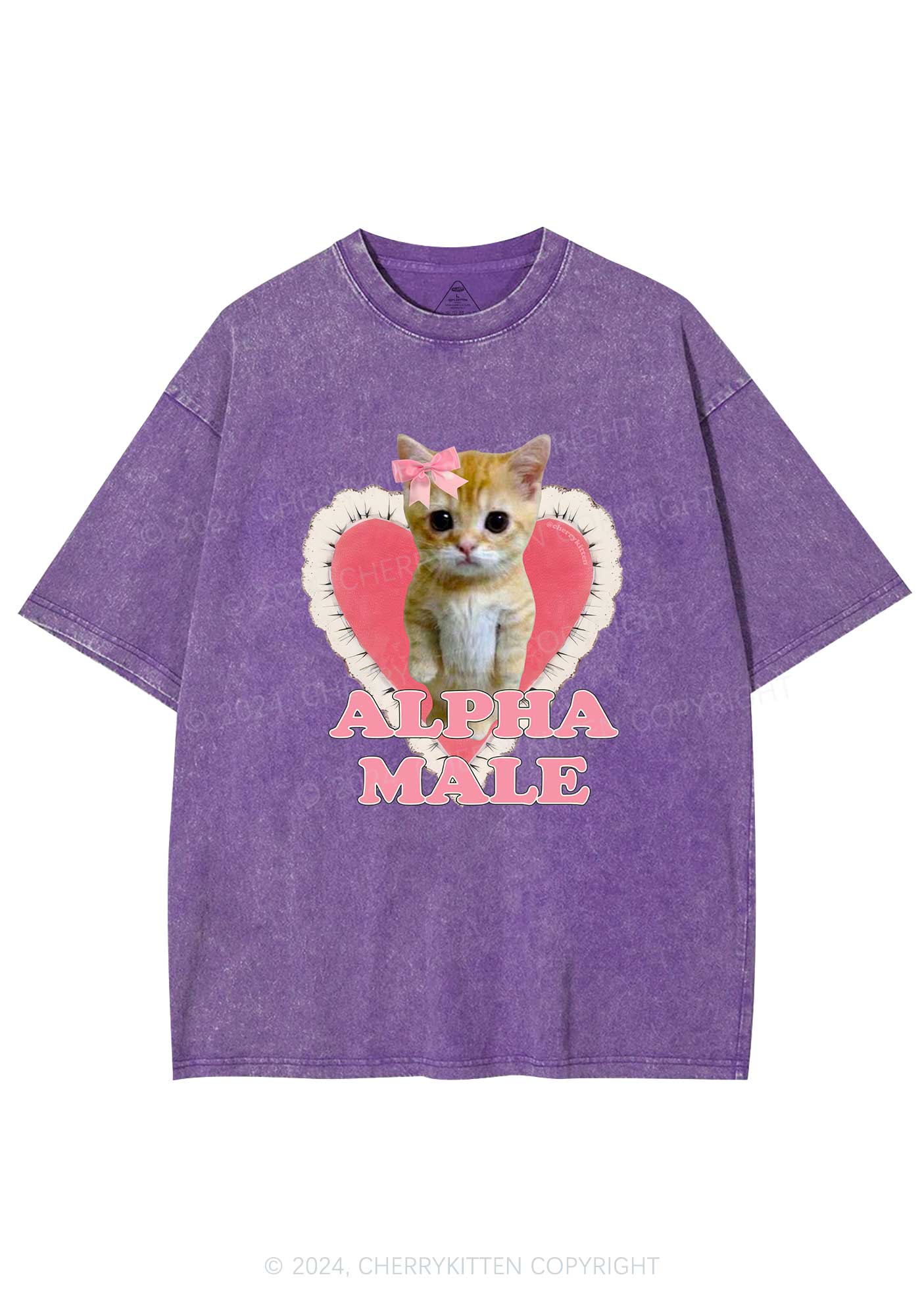 Alpha Male Kitten Y2K Washed Tee Cherrykitten - Image 5