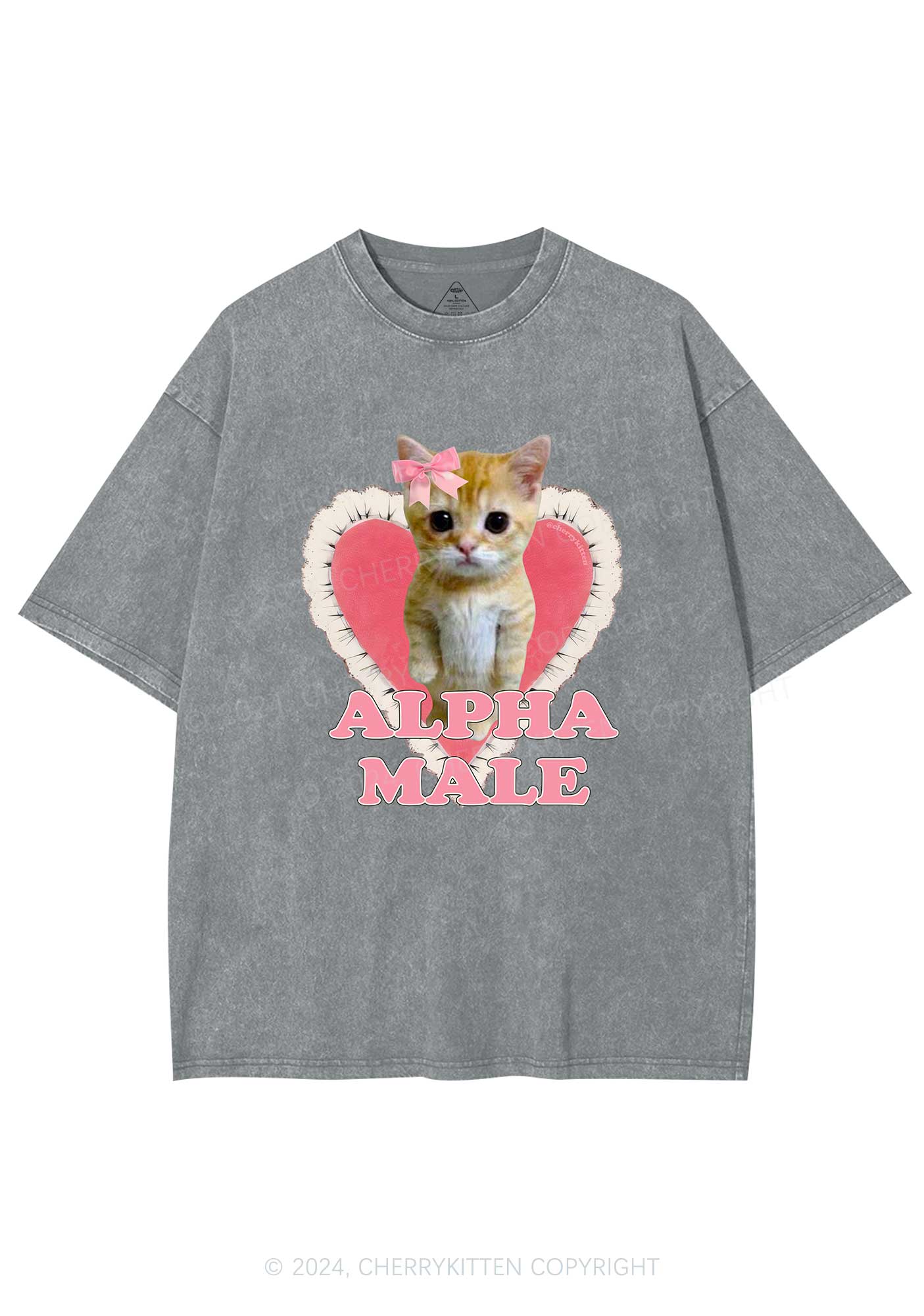 Alpha Male Kitten Y2K Washed Tee Cherrykitten - Image 6