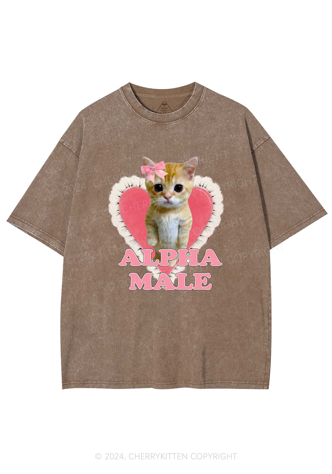 Alpha Male Kitten Y2K Washed Tee Cherrykitten - Image 7