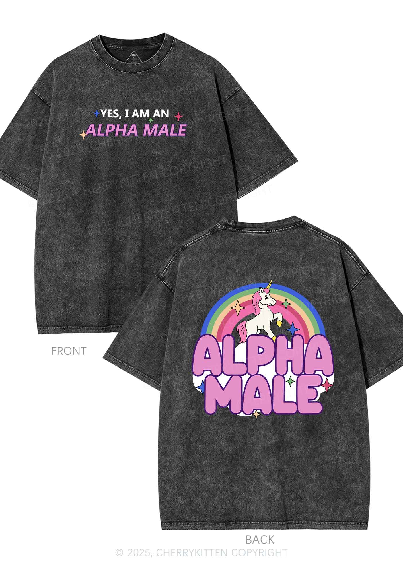 Alpha Male Two Sides Pride Y2K Shirts Washed Tee Cherrykitten - Image 4