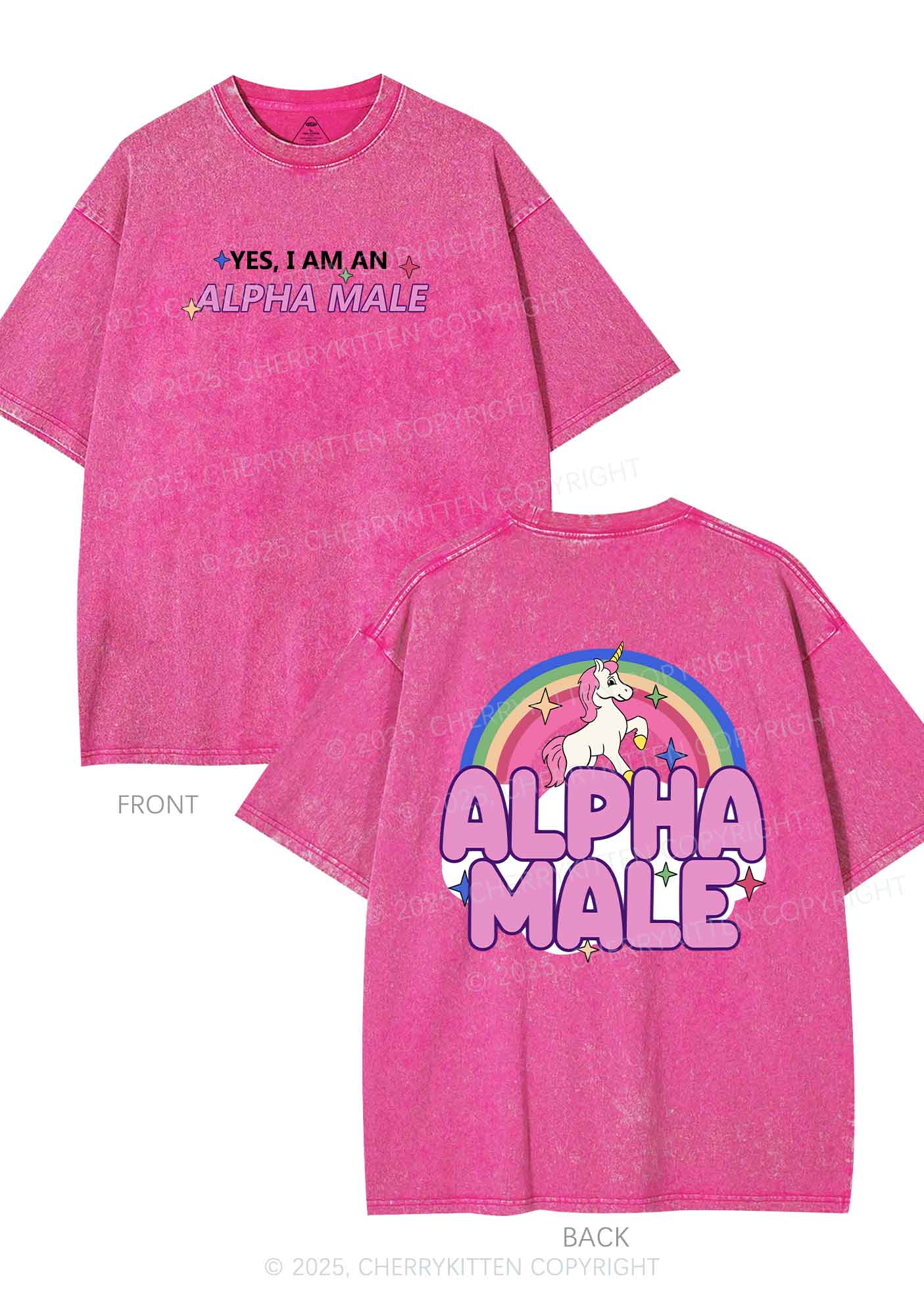 Alpha Male Two Sides Pride Y2K Shirts Washed Tee Cherrykitten - Image 5