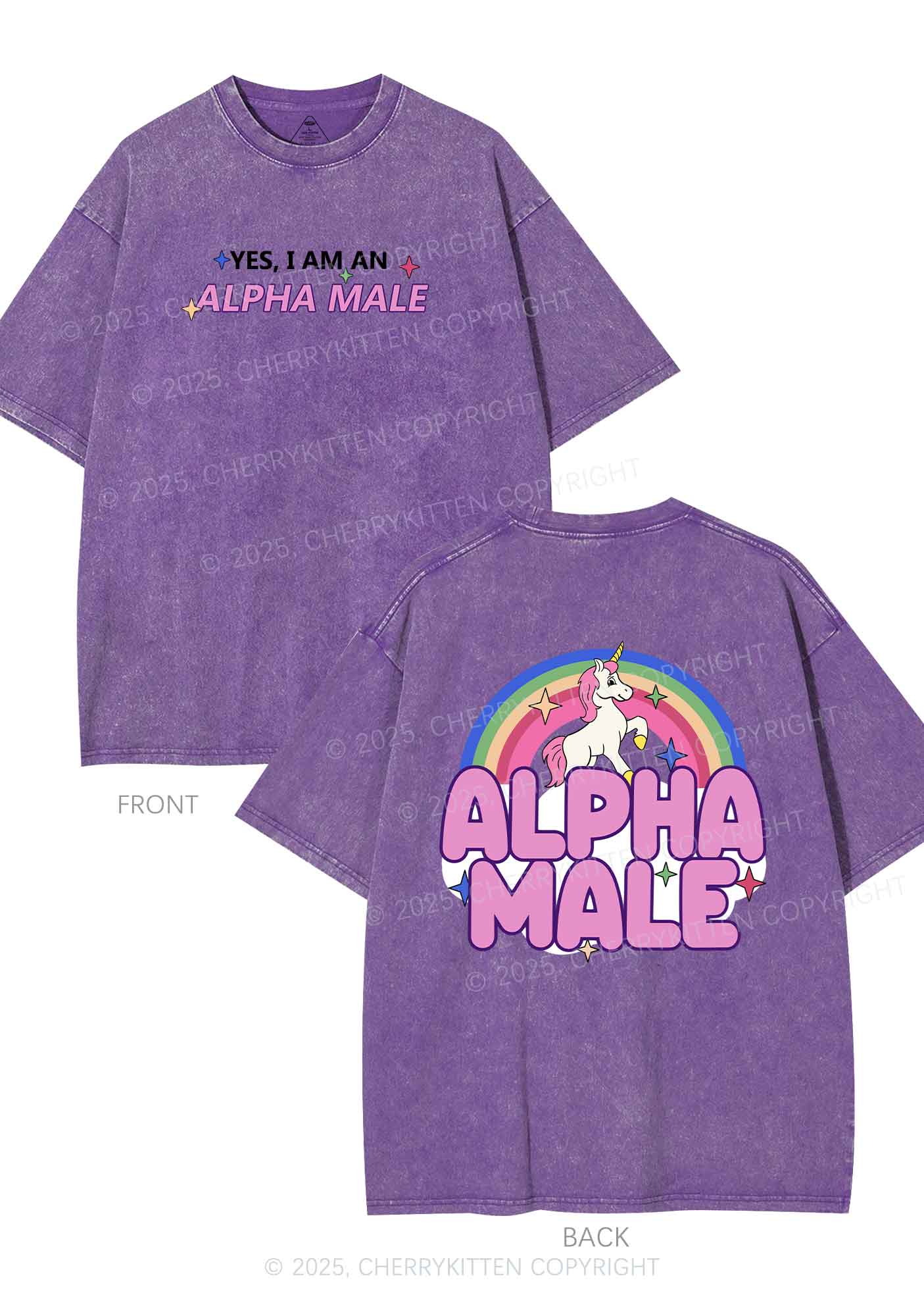 Alpha Male Two Sides Pride Y2K Shirts Washed Tee Cherrykitten - Image 6