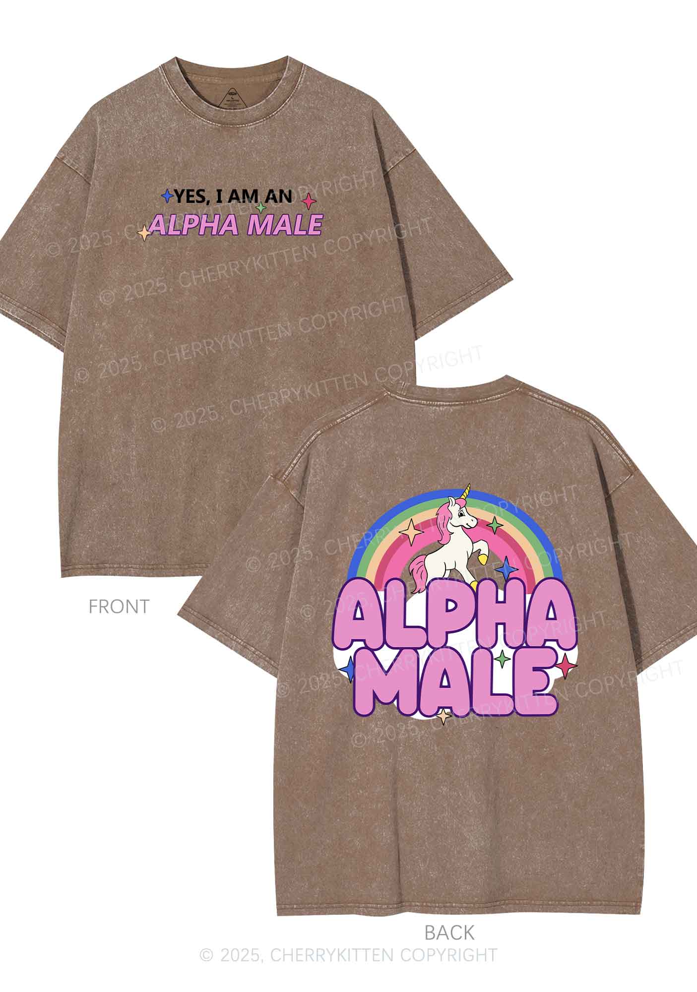 Alpha Male Two Sides Pride Y2K Shirts Washed Tee Cherrykitten - Image 7