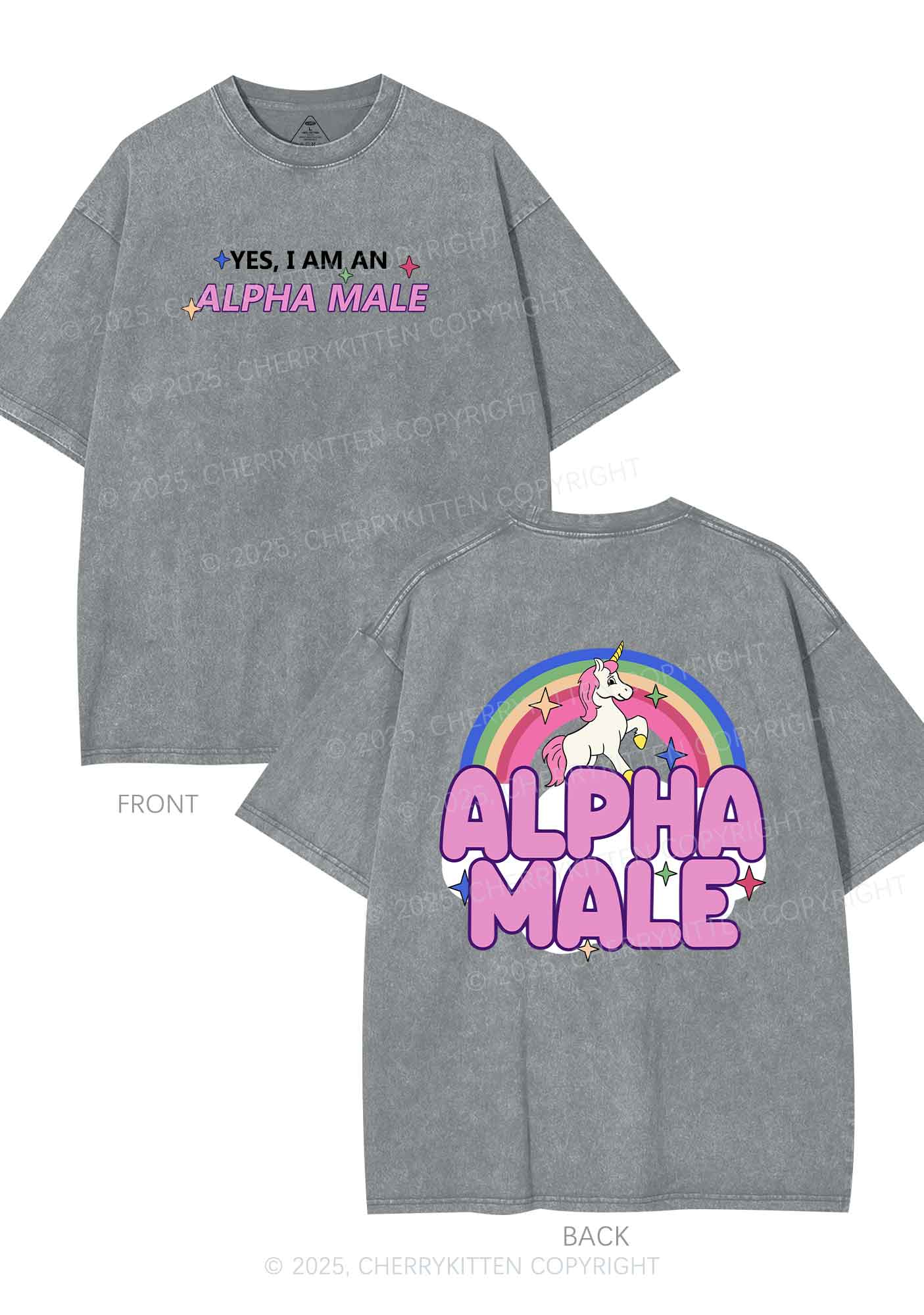 Alpha Male Two Sides Pride Y2K Shirts Washed Tee Cherrykitten - Image 8