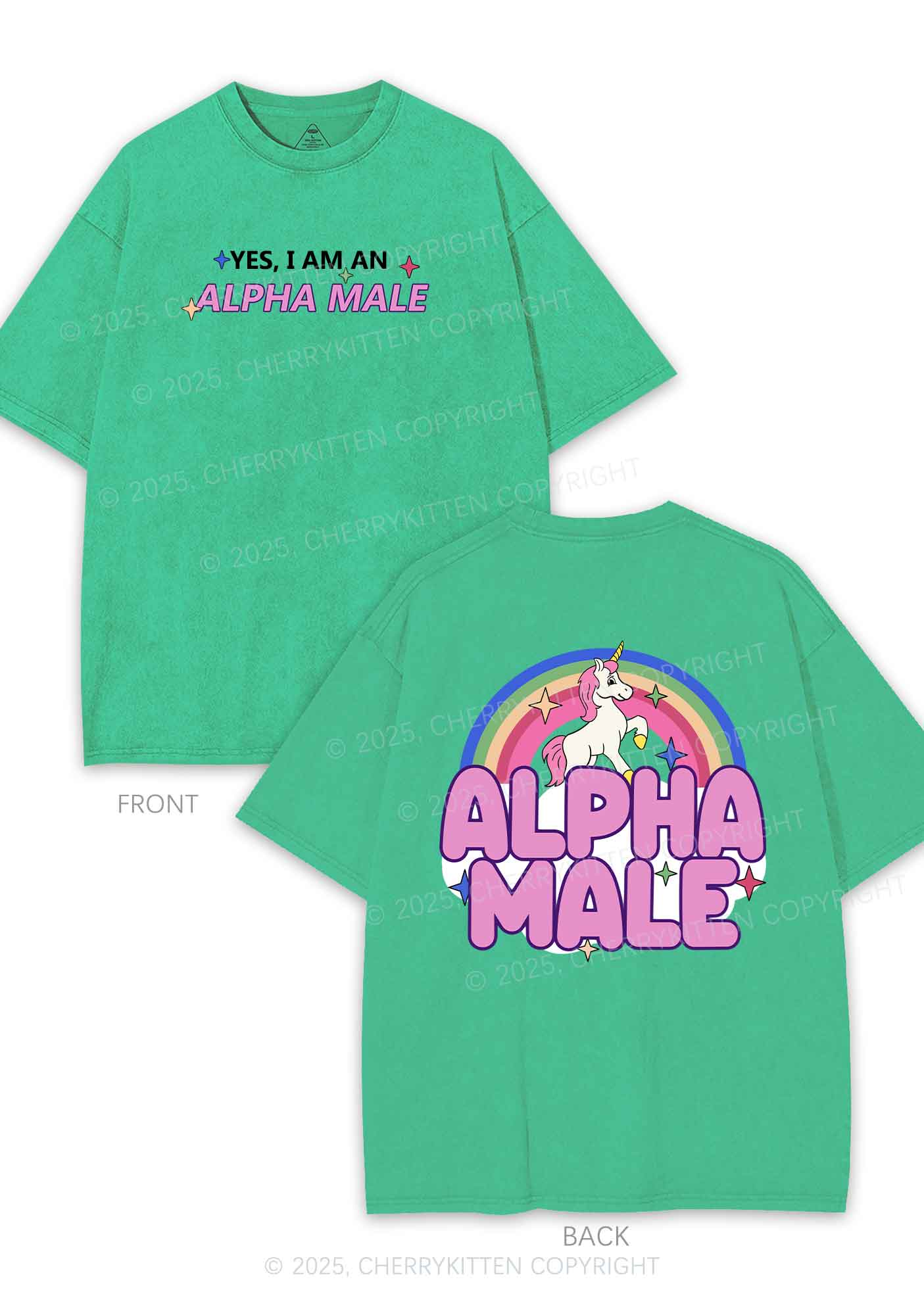 Alpha Male Two Sides Pride Y2K Shirts Washed Tee Cherrykitten - Image 9