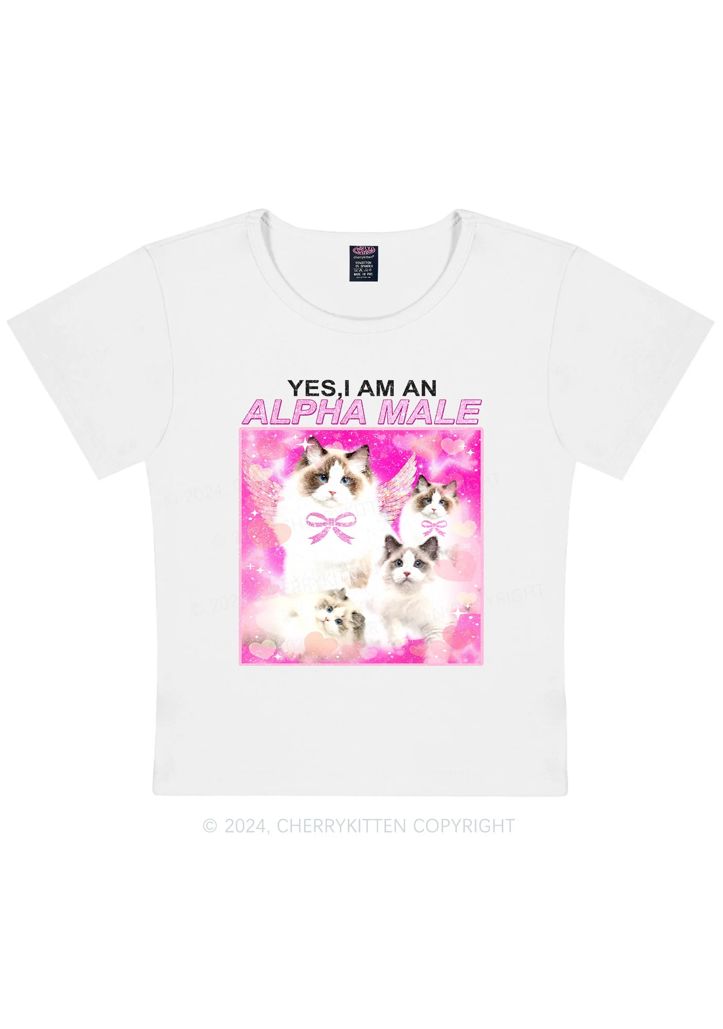 Alpha Male Y2K Baby Tee Cherrykitten - Image 4
