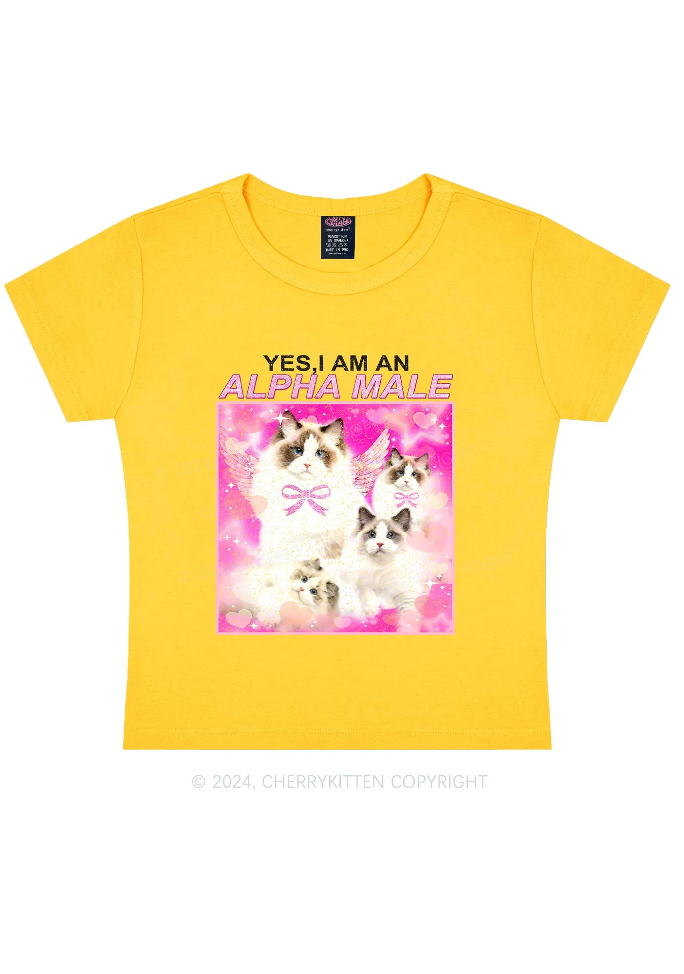 Alpha Male Y2K Baby Tee Cherrykitten - Image 7