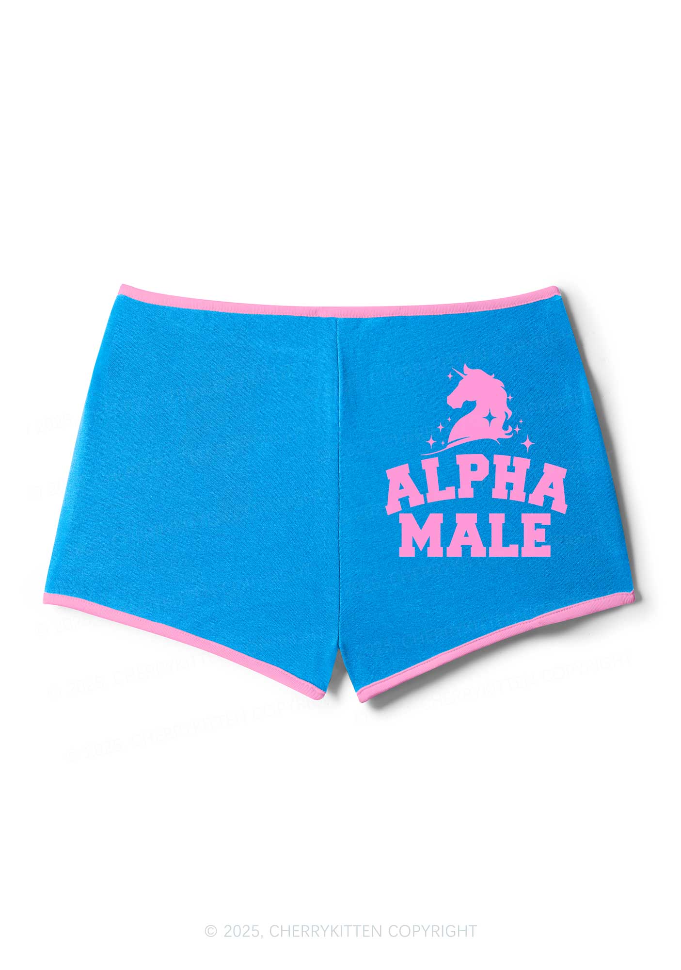 Alpha Male Y2K Booty Shorts Cherrykitten - Image 4