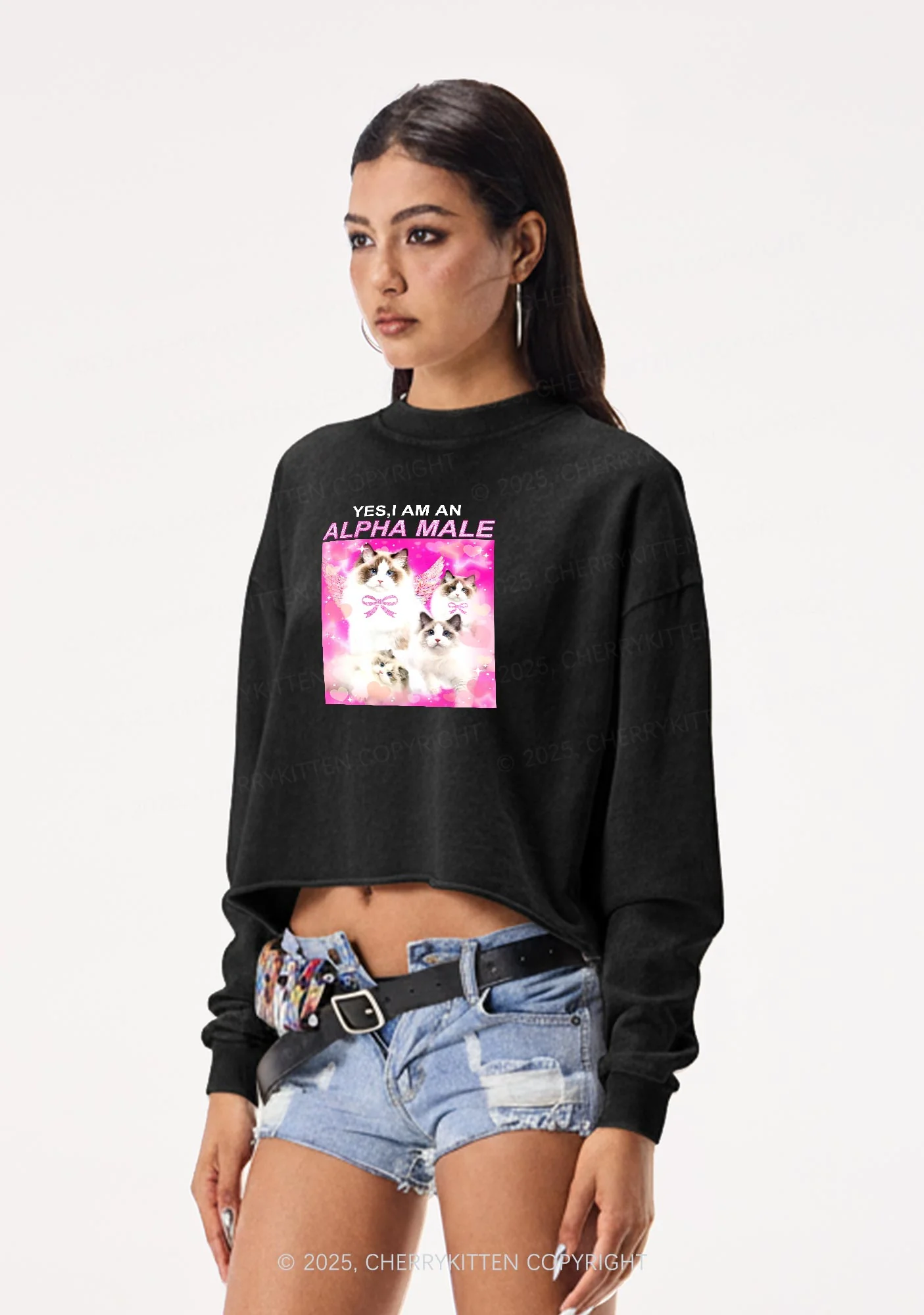 Alpha Male Y2K Crop Washed Sweatshirts Cherrykitten - Image 2