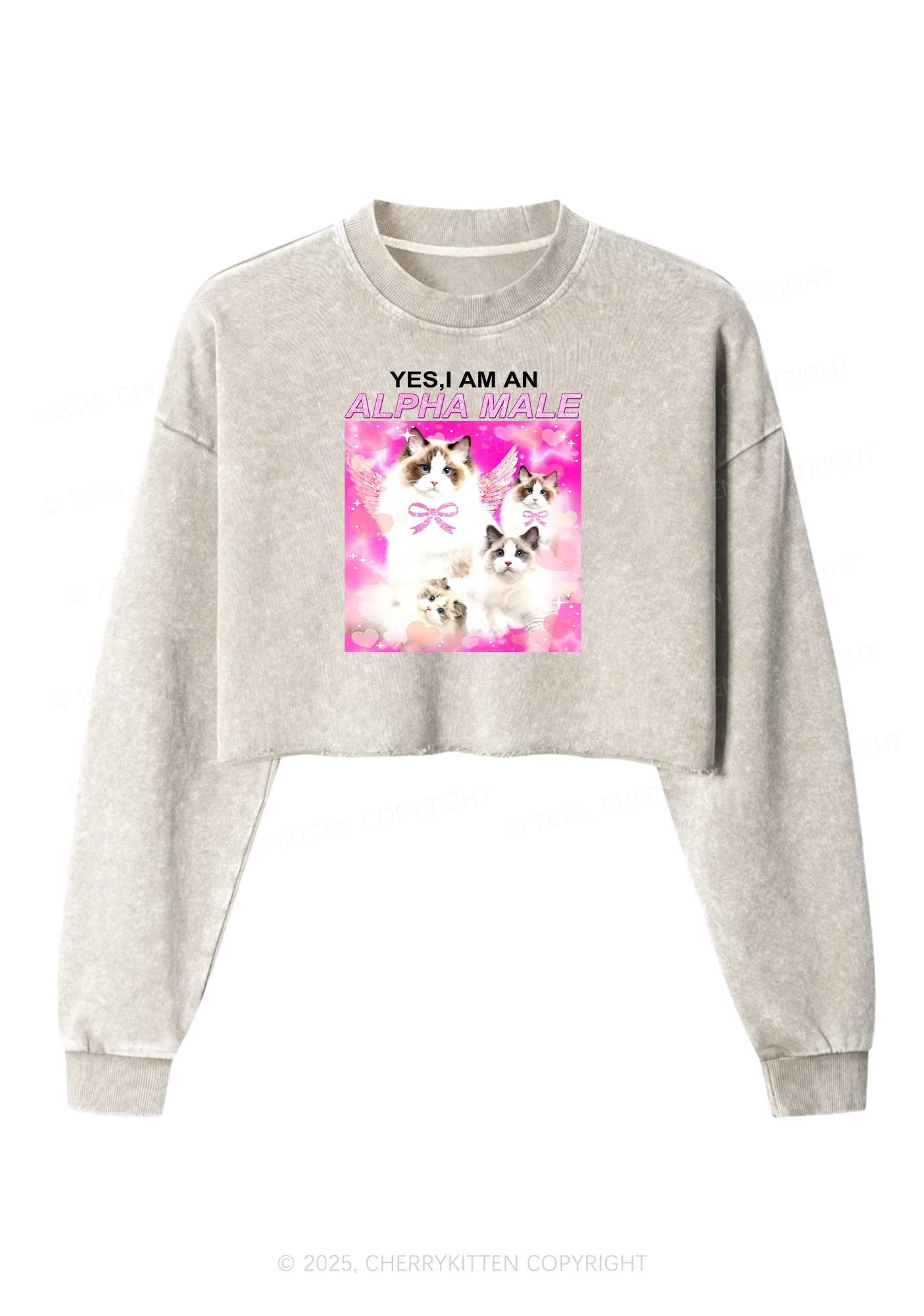 Alpha Male Y2K Crop Washed Sweatshirts Cherrykitten - Image 3