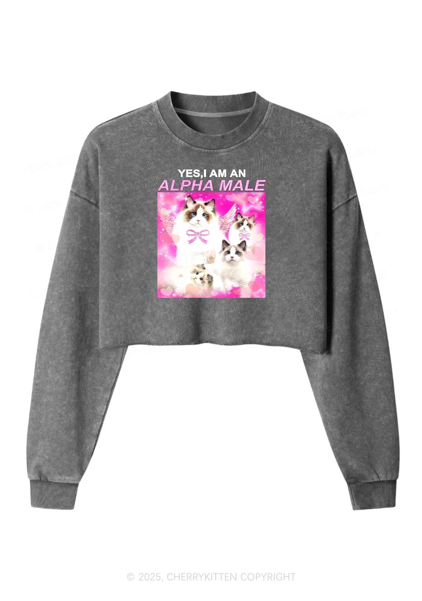 Alpha Male Y2K Crop Washed Sweatshirts Cherrykitten - Image 4