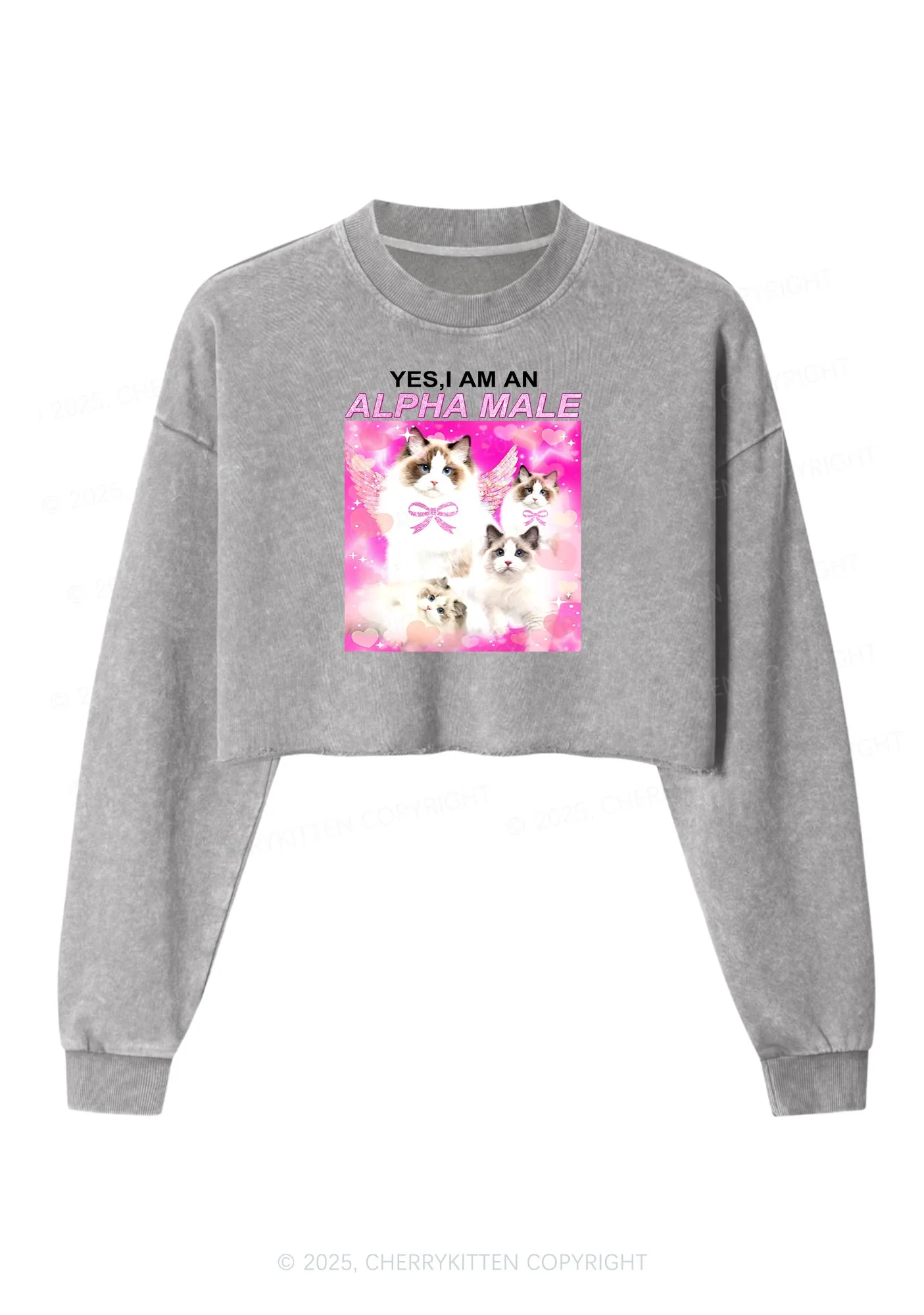 Alpha Male Y2K Crop Washed Sweatshirts Cherrykitten - Image 5