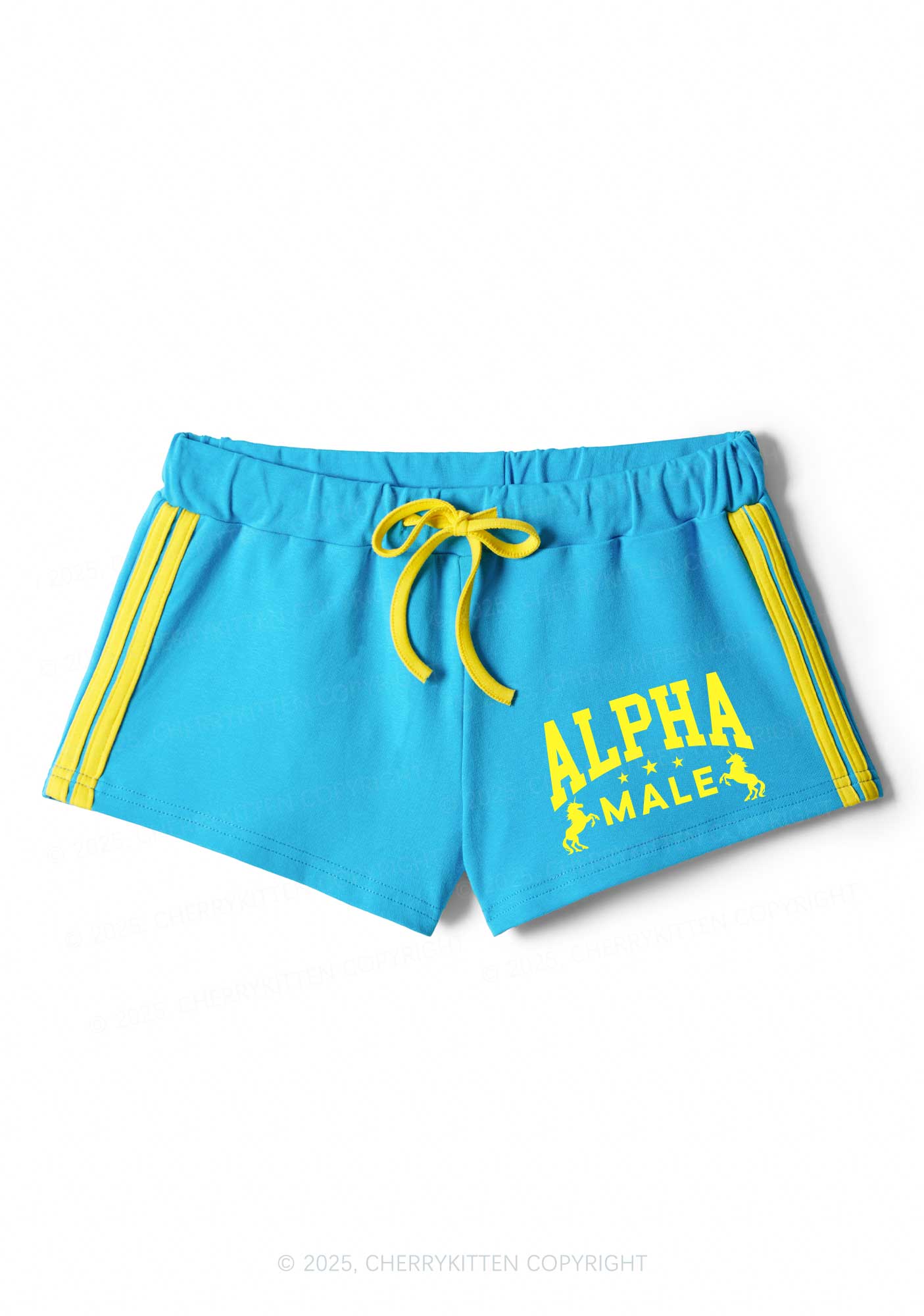 Alpha Male Y2K Drawstring Mini Shorts Cherrykitten - Image 3