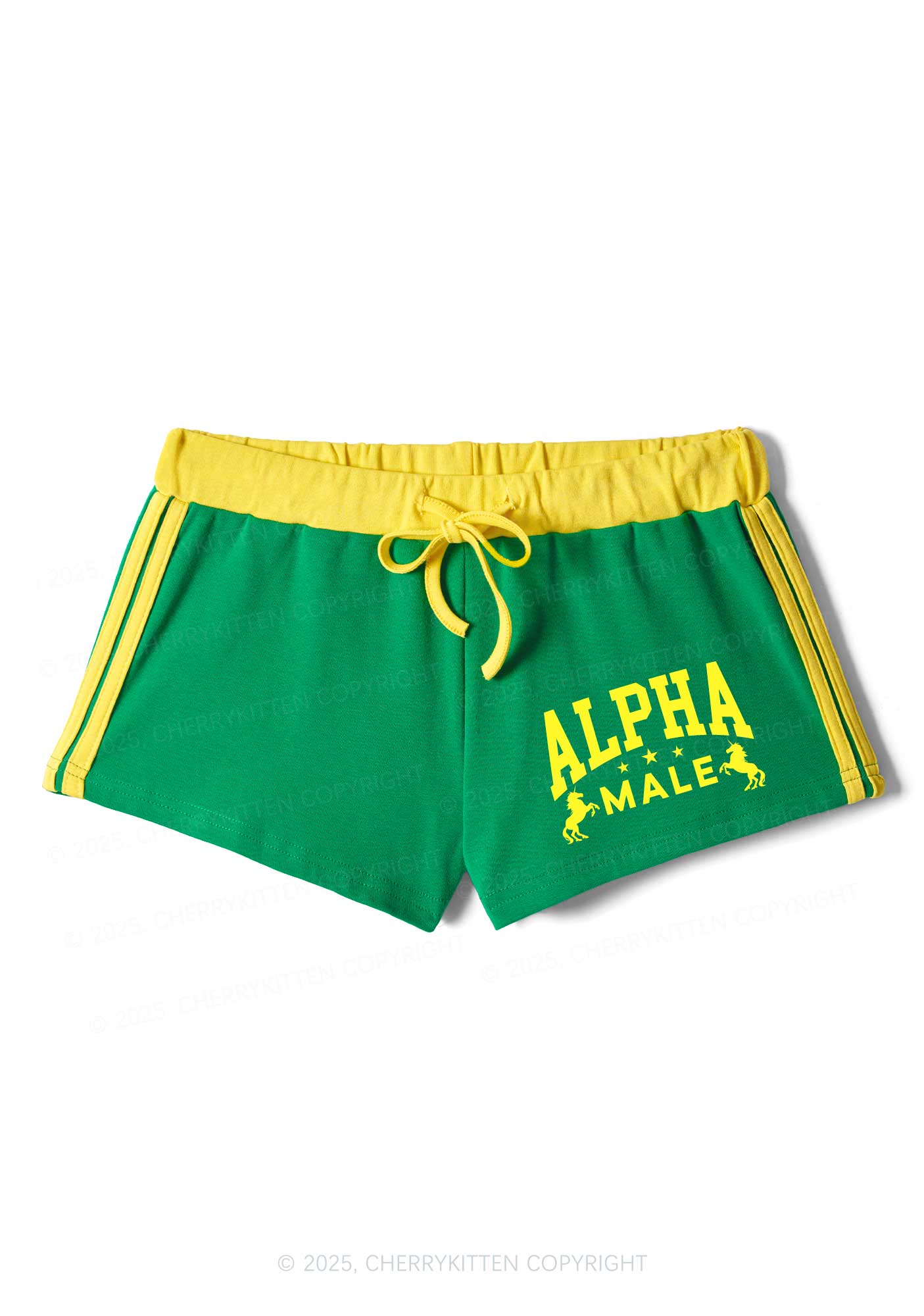 Alpha Male Y2K Drawstring Mini Shorts Cherrykitten - Image 4