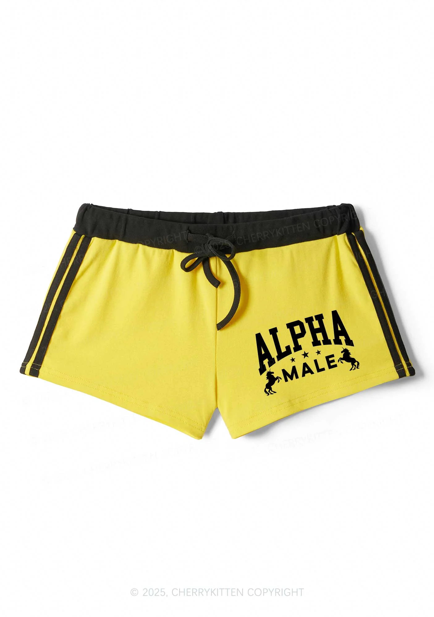 Alpha Male Y2K Drawstring Mini Shorts Cherrykitten - Image 5