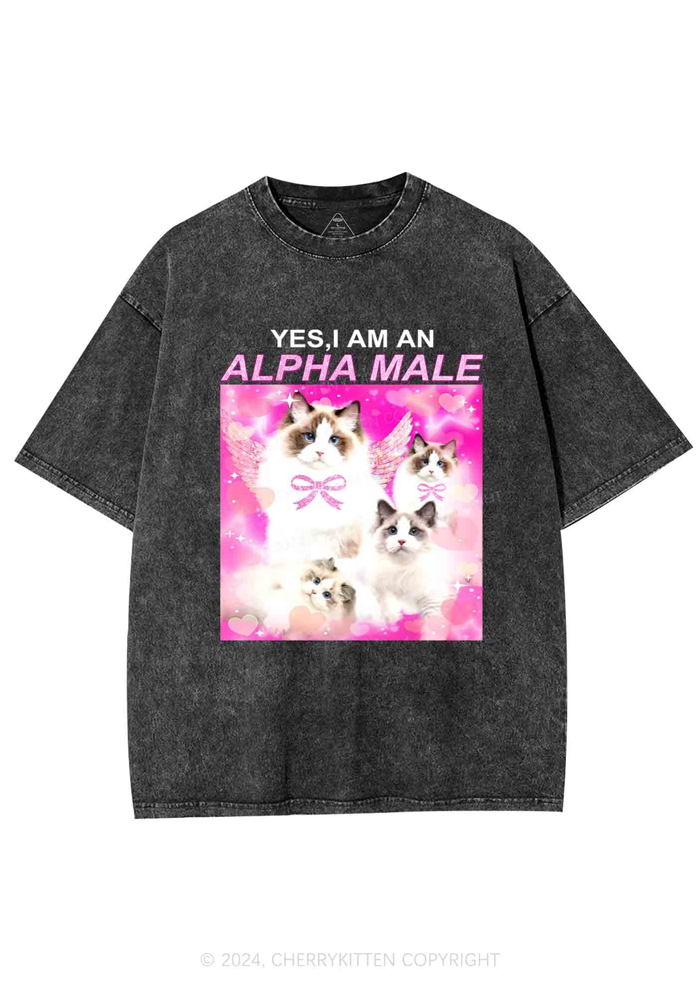 Alpha Male Y2K Washed Tee Cherrykitten - Image 4