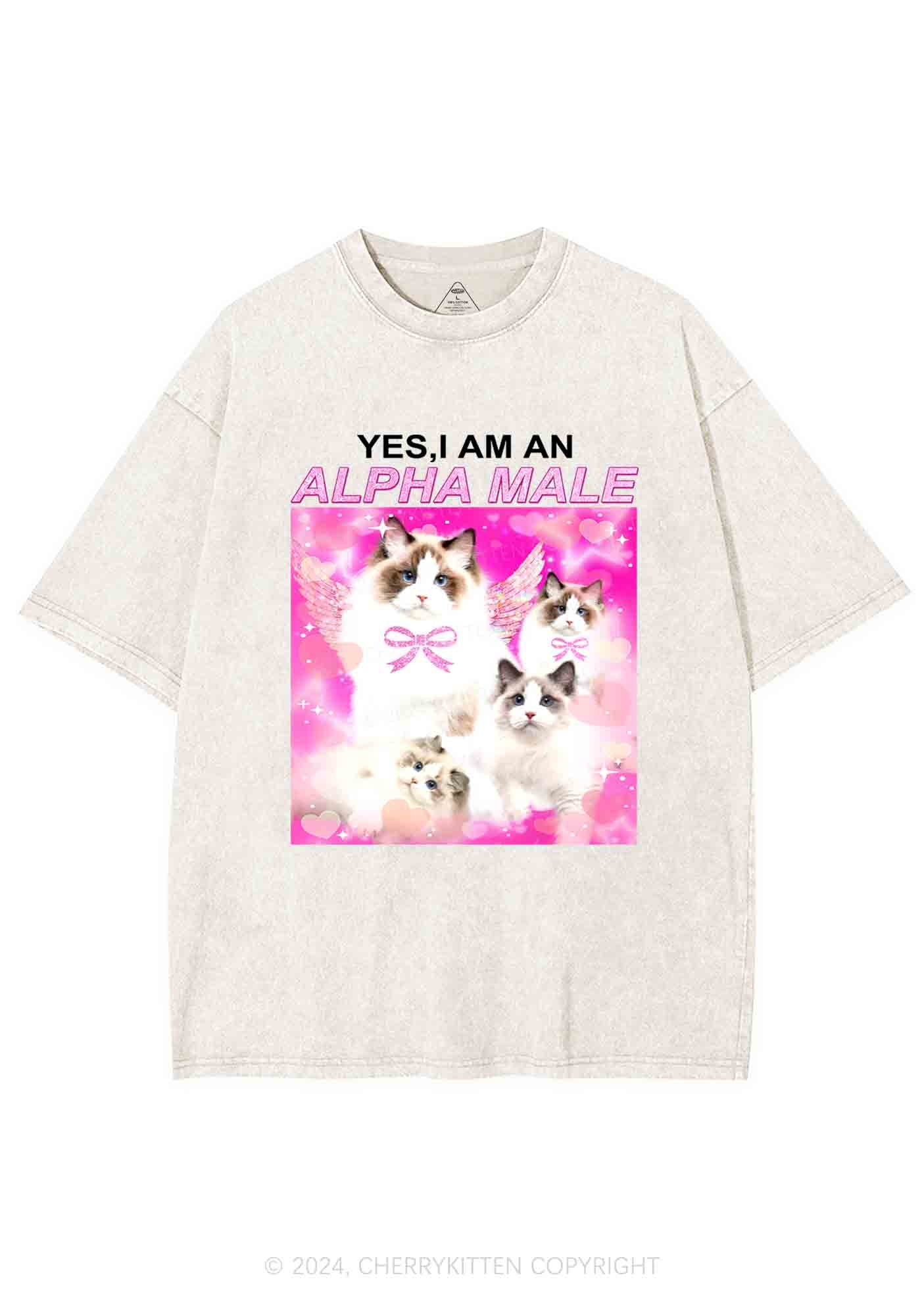 Alpha Male Y2K Washed Tee Cherrykitten - Image 5