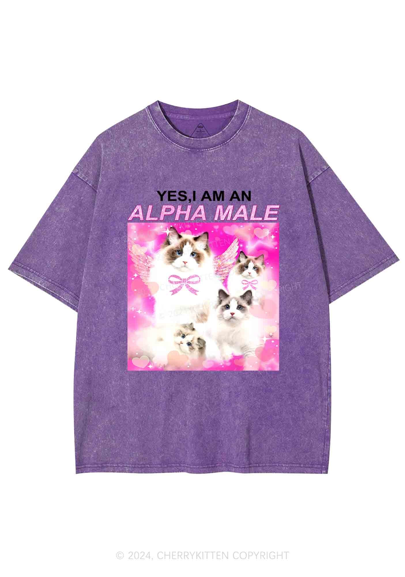 Alpha Male Y2K Washed Tee Cherrykitten - Image 6