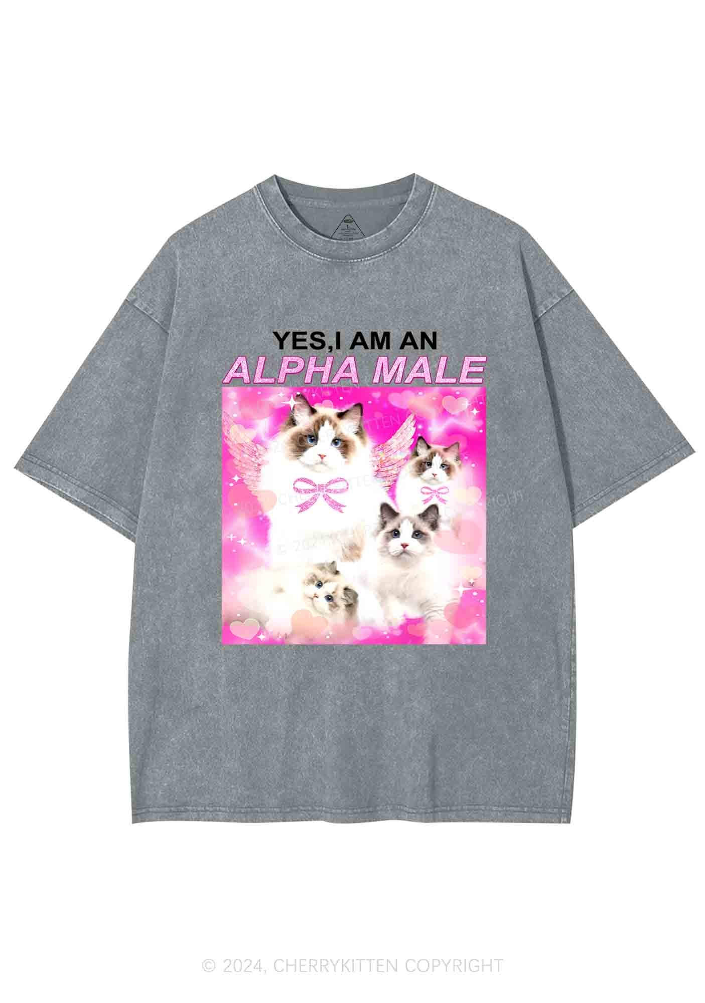 Alpha Male Y2K Washed Tee Cherrykitten - Image 7