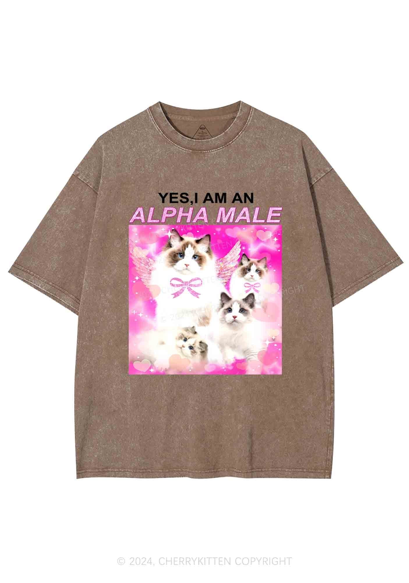 Alpha Male Y2K Washed Tee Cherrykitten - Image 8